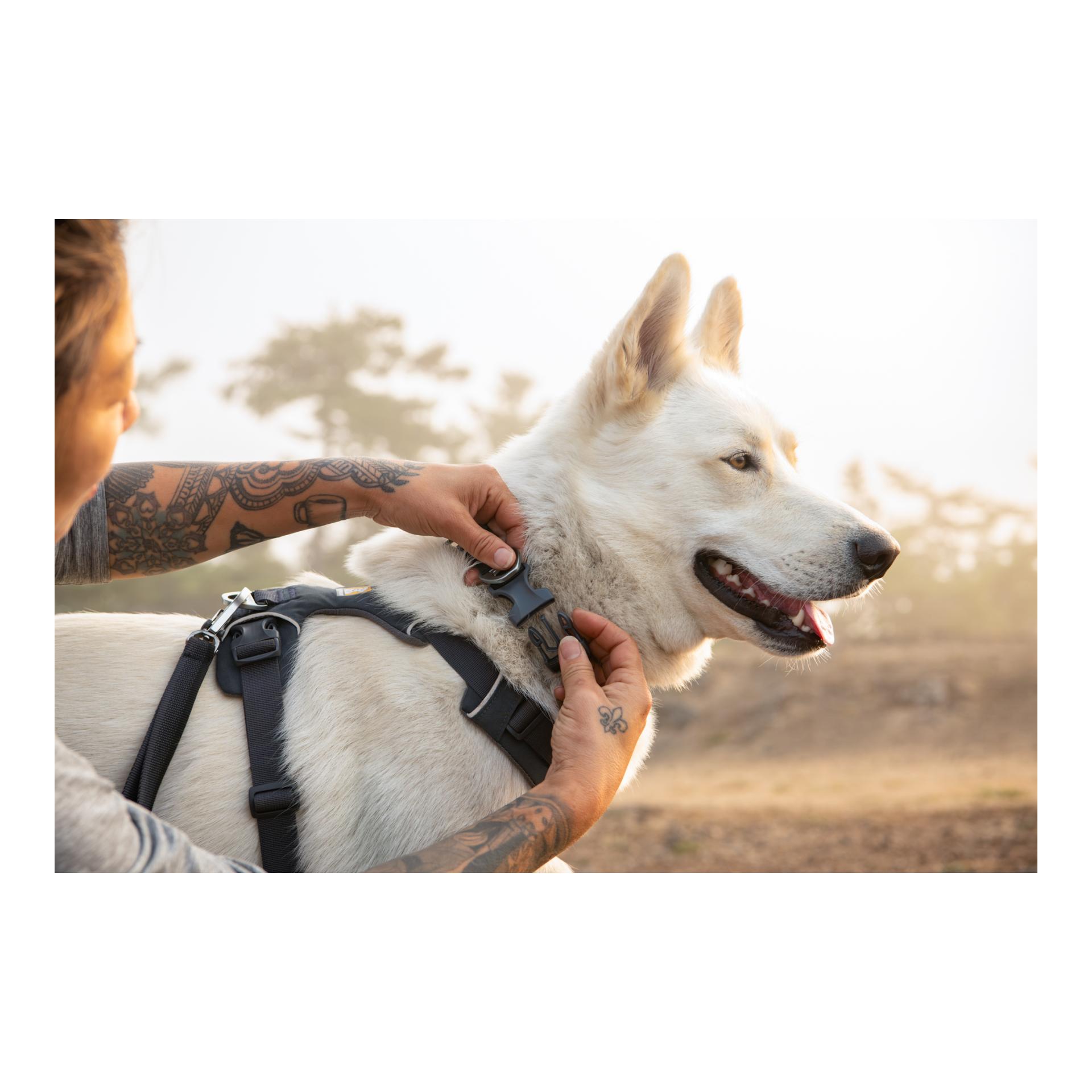 Ruffwear Front Range® harnais pour chien