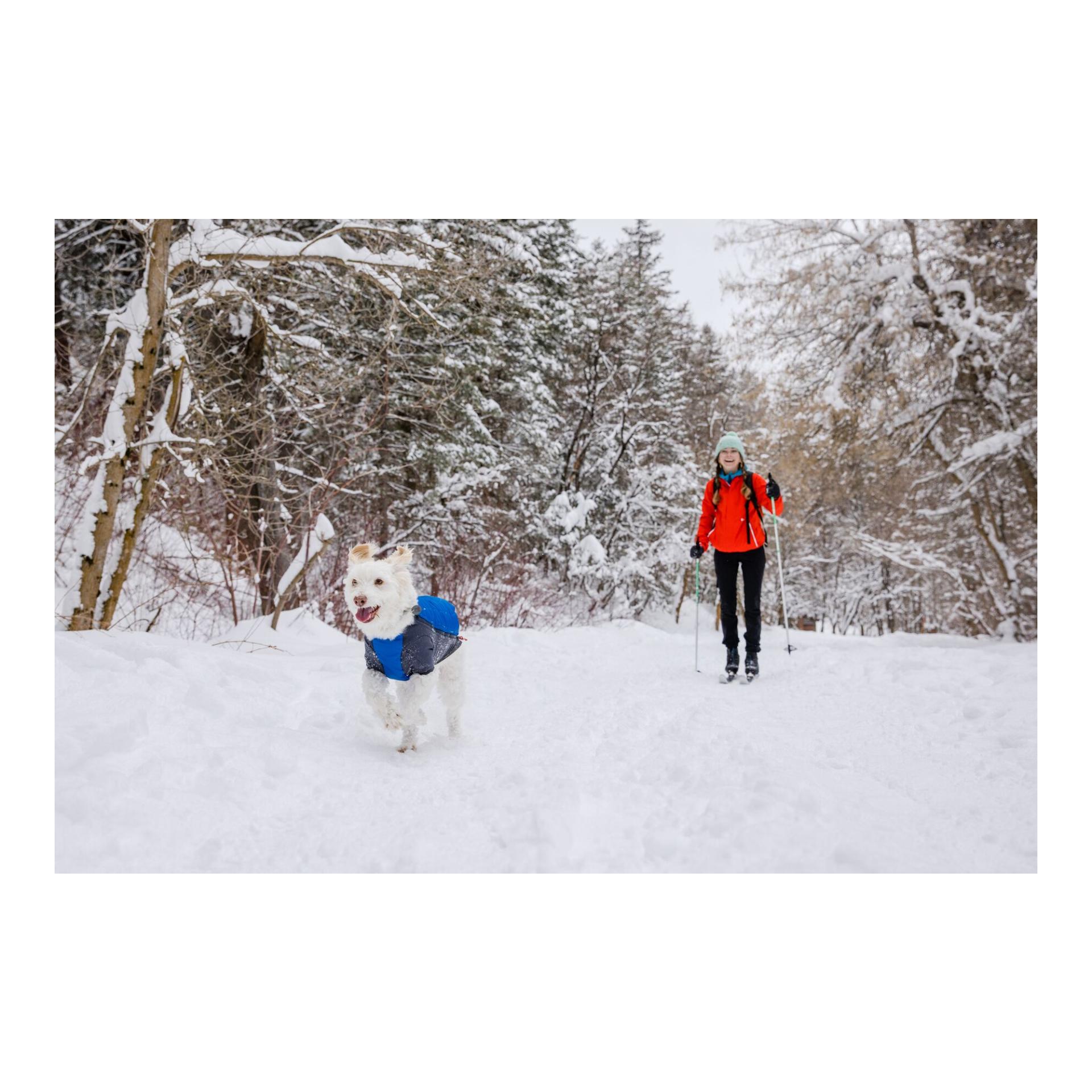 Ruffwear Veste pour chien Powder Hound™ Jacket