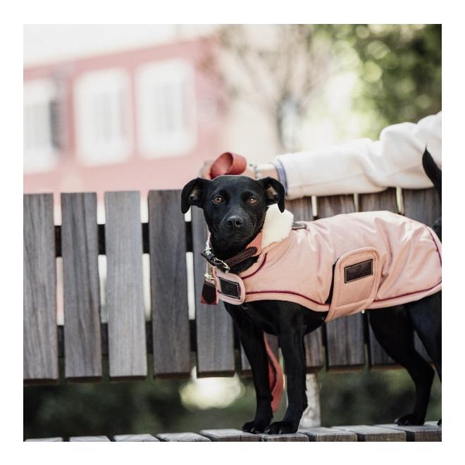 Kentucky Dogwear Hundemantel wasserdicht 160 g - Koralle