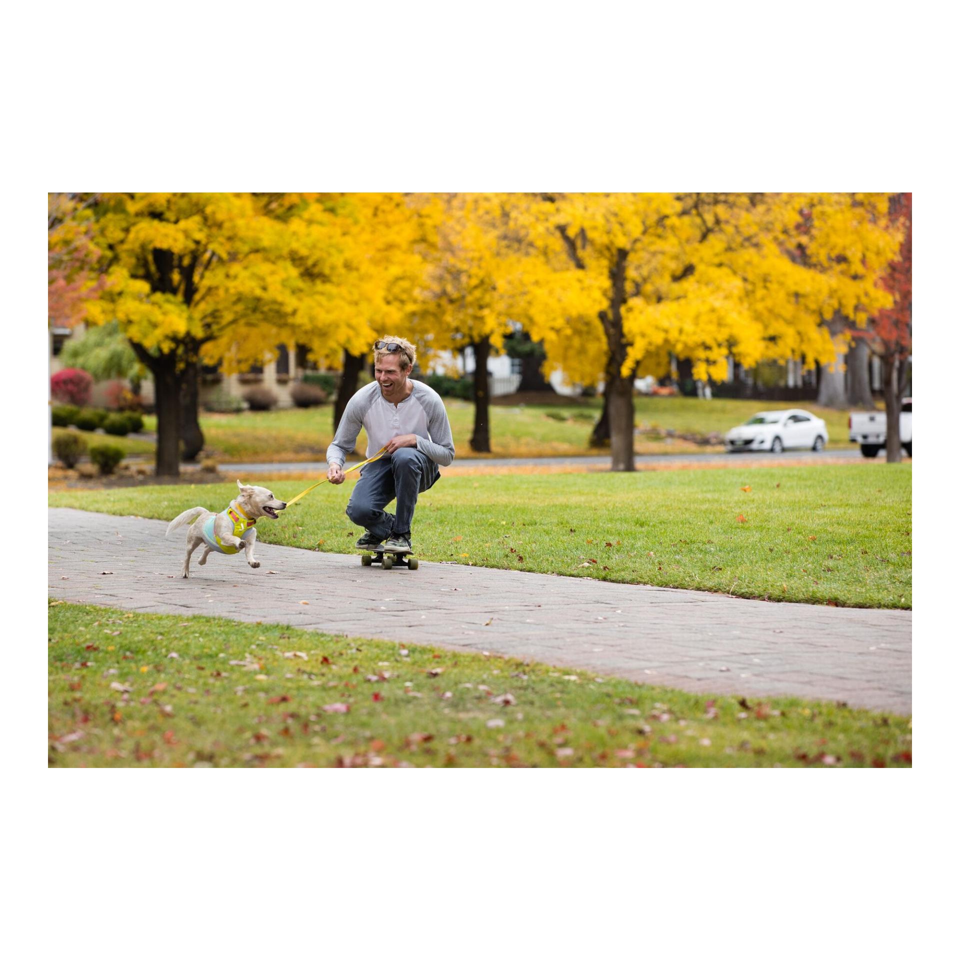 Ruffwear Hi & Light™ Geschirr