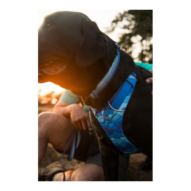 Ruffwear Front Range™ Collar Hundehalsband