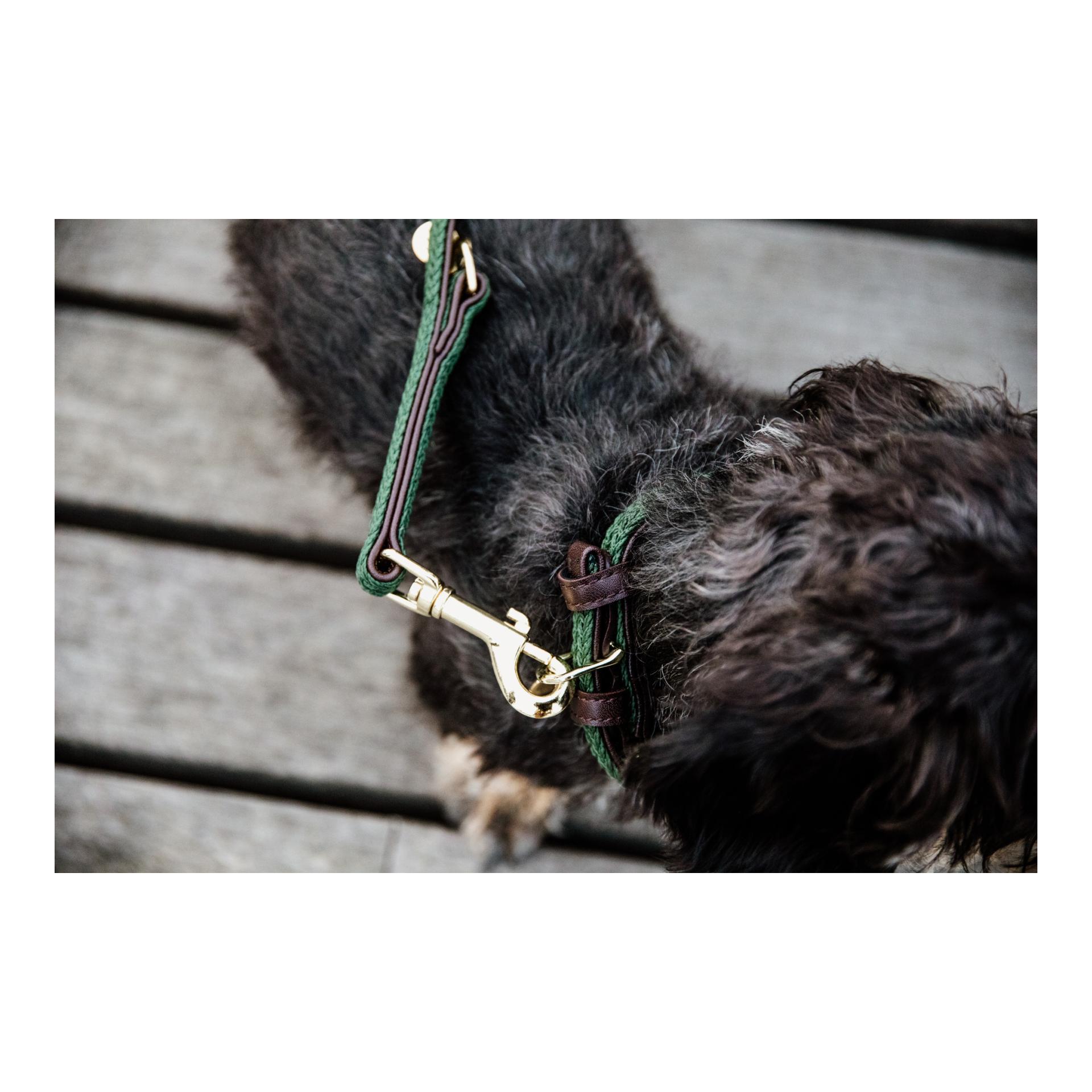 Hundehalsband Nylon geflochten - olive green