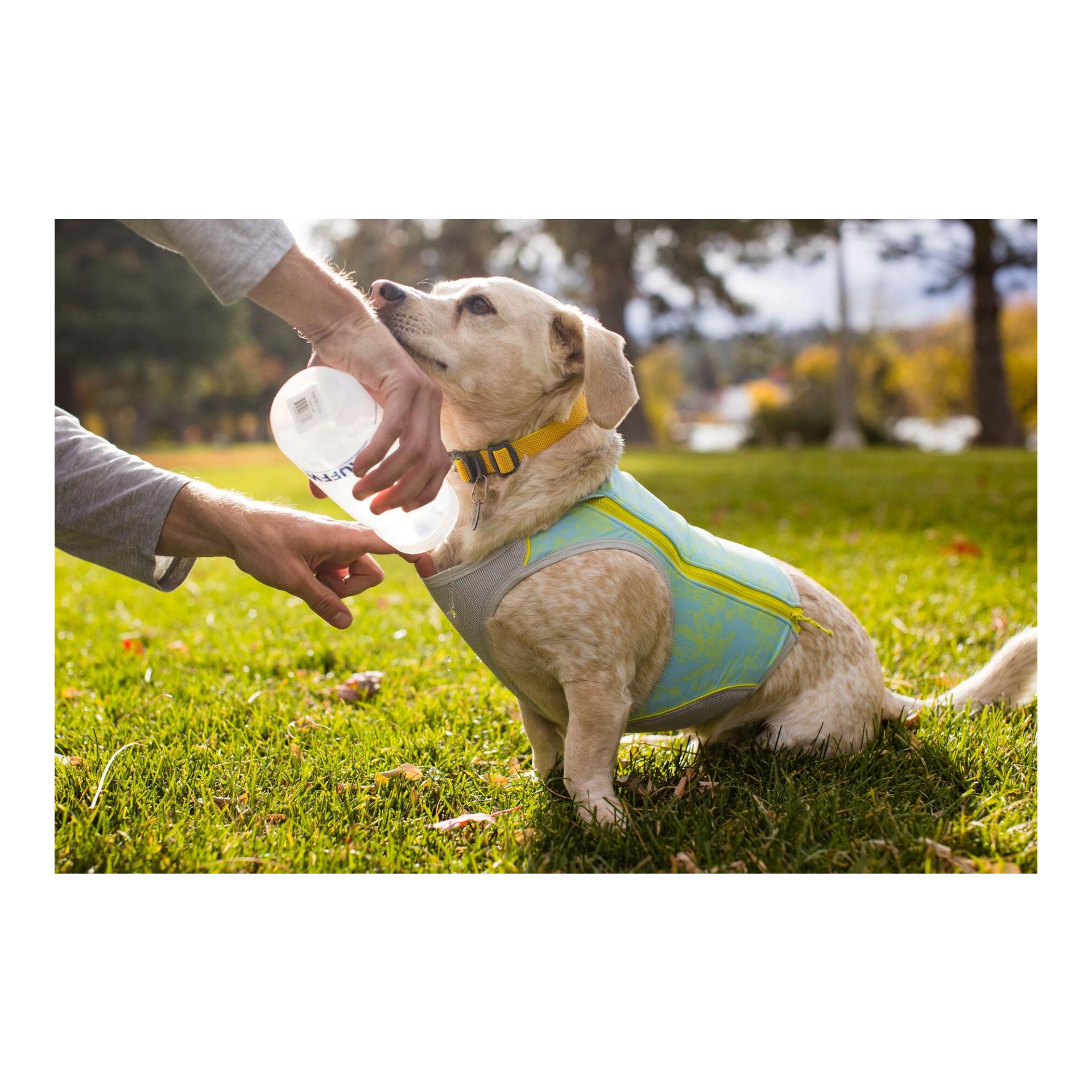 Ruffwear Gilet Swamp Cooler Zip™