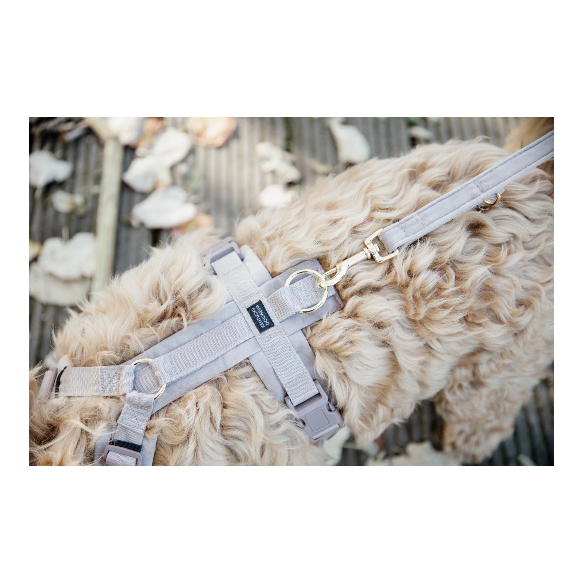 Kentucky Dogwear Hundegeschirr Active Velvet