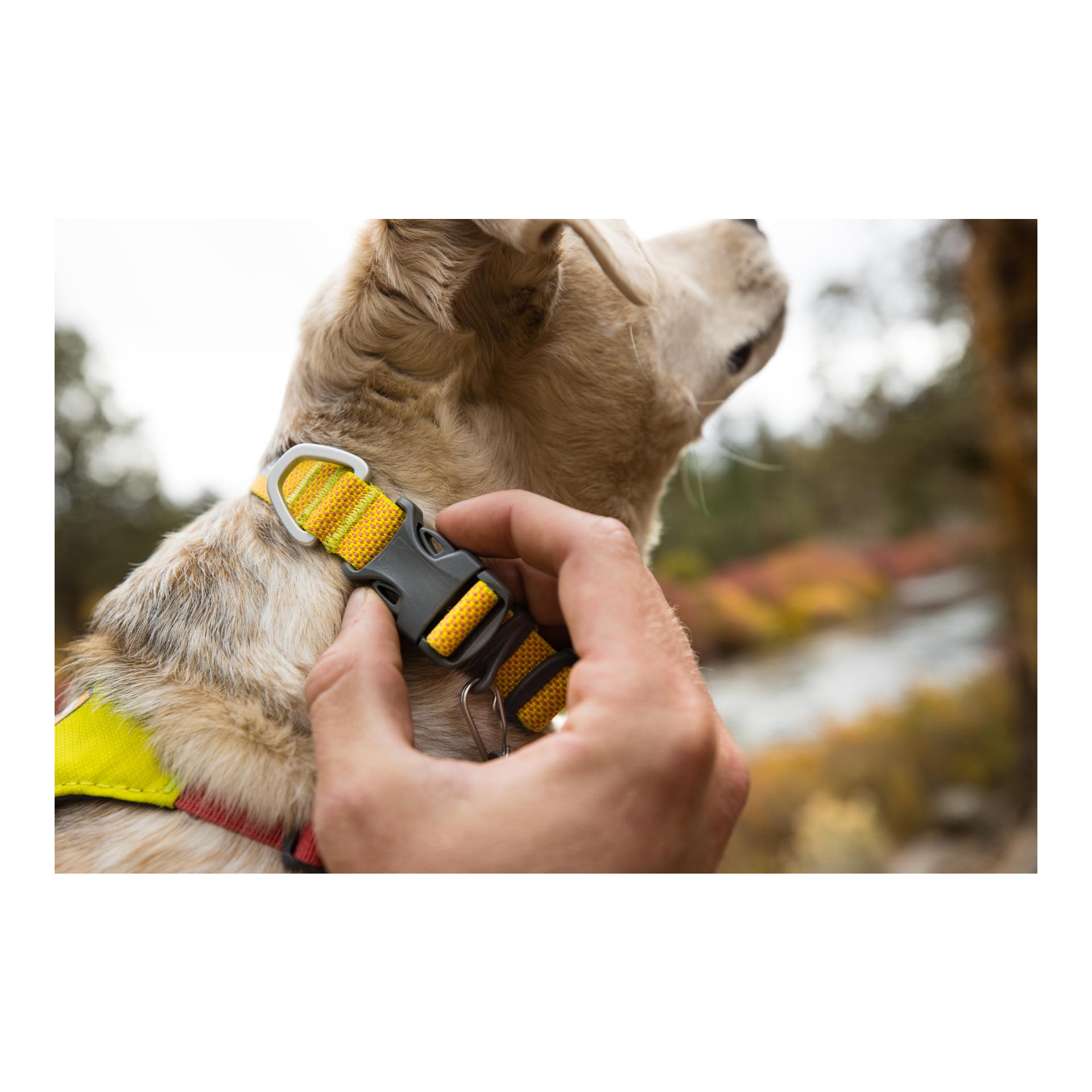 Ruffwear Hi & Light™ Halsband