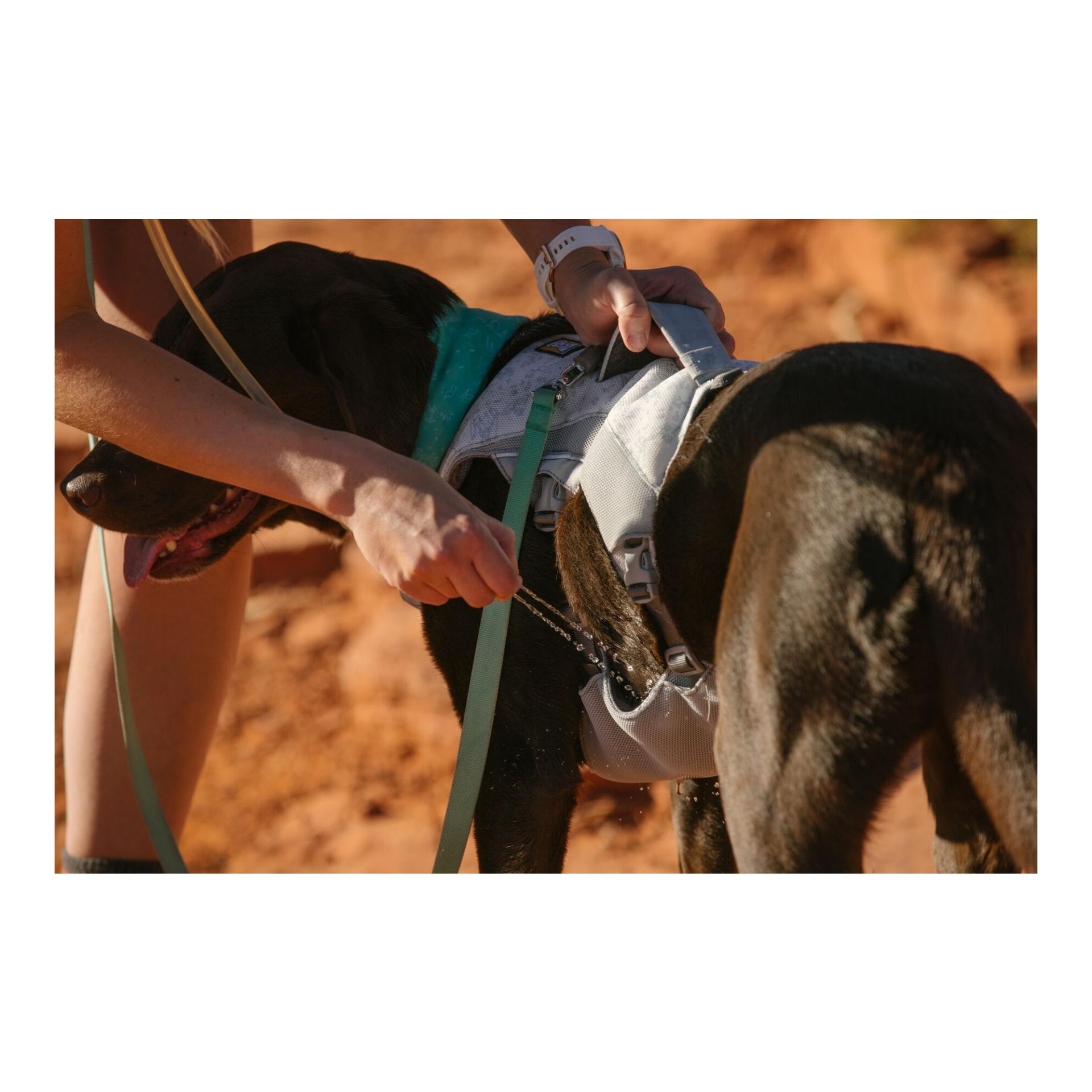 Ruffwear Harnais Swamp Cooler Zip™