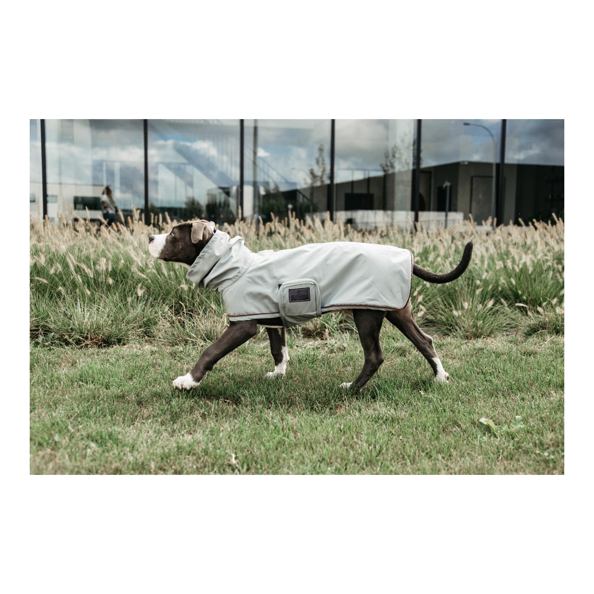 Kentucky Dogwear Hunde Regenjacke