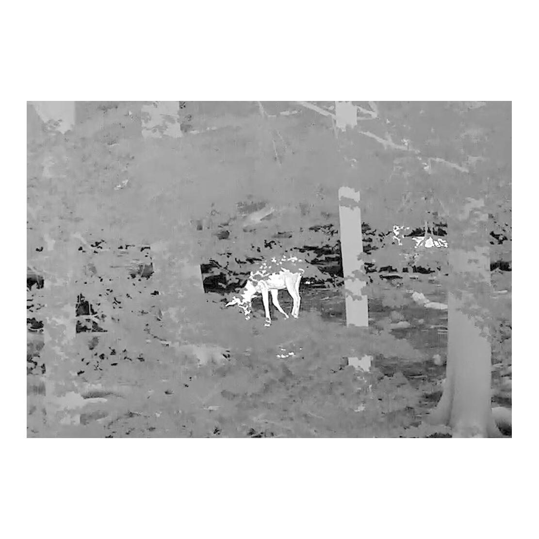 InfiRay Appareil d'imagerie thermique MAH50