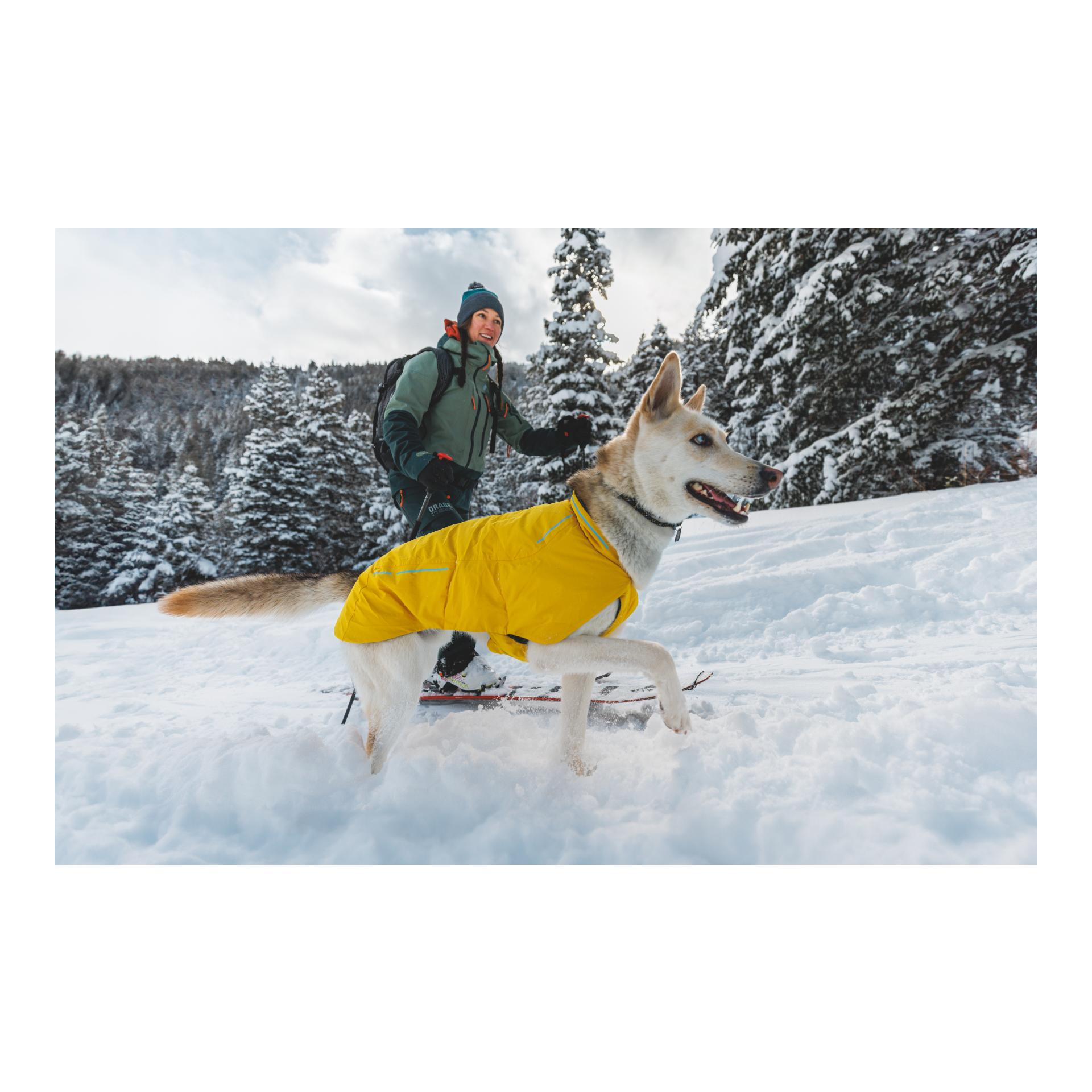 Ruffwear Manteau pour chien Vert Jacket
