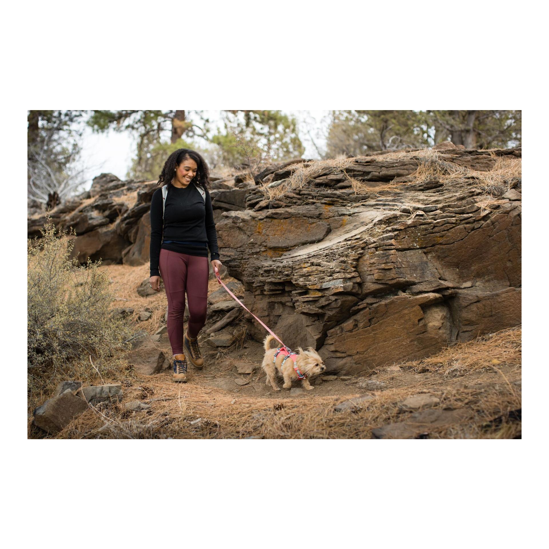 Ruffwear Flagline™ Hundegeschirr