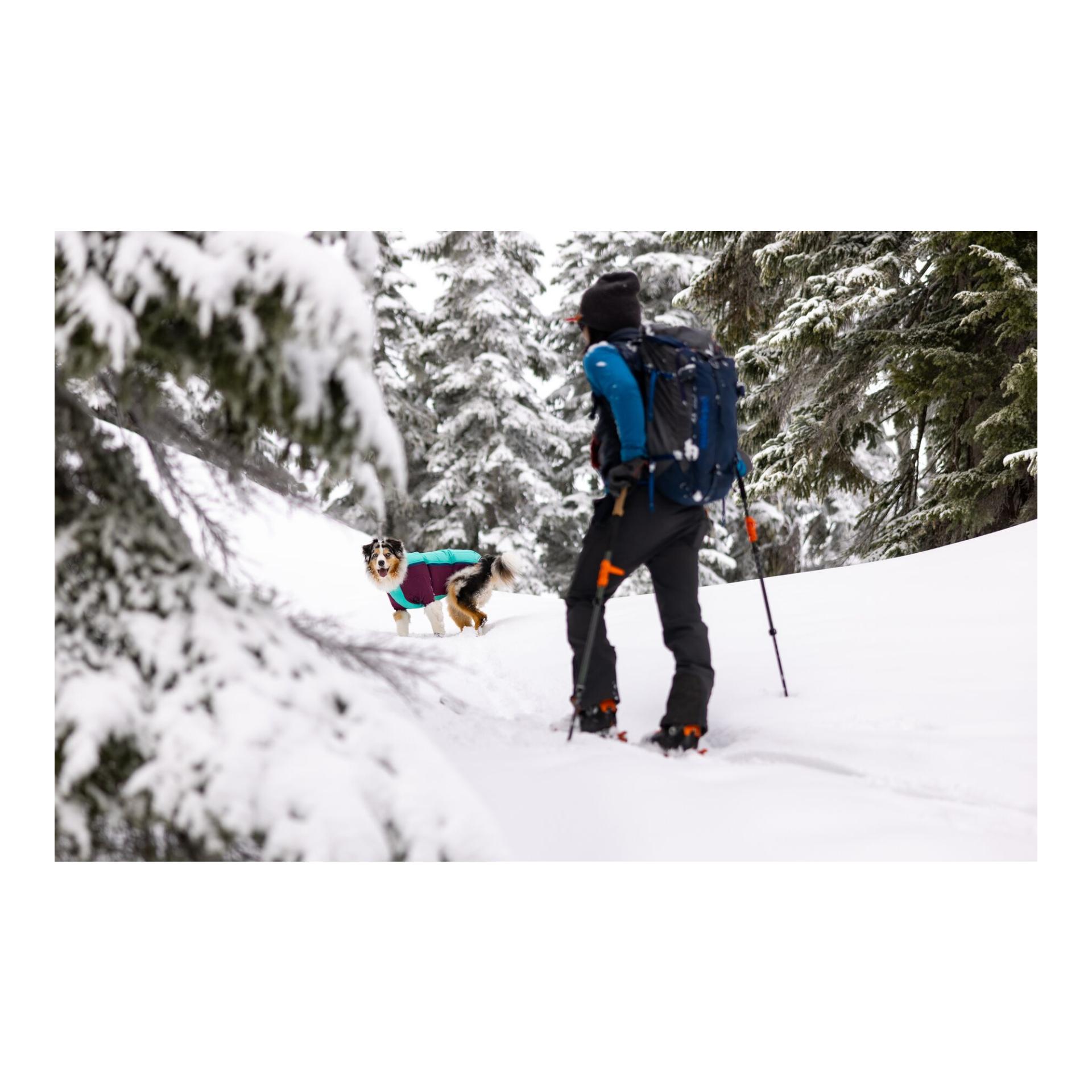 Ruffwear Veste pour chien Powder Hound™ Jacket