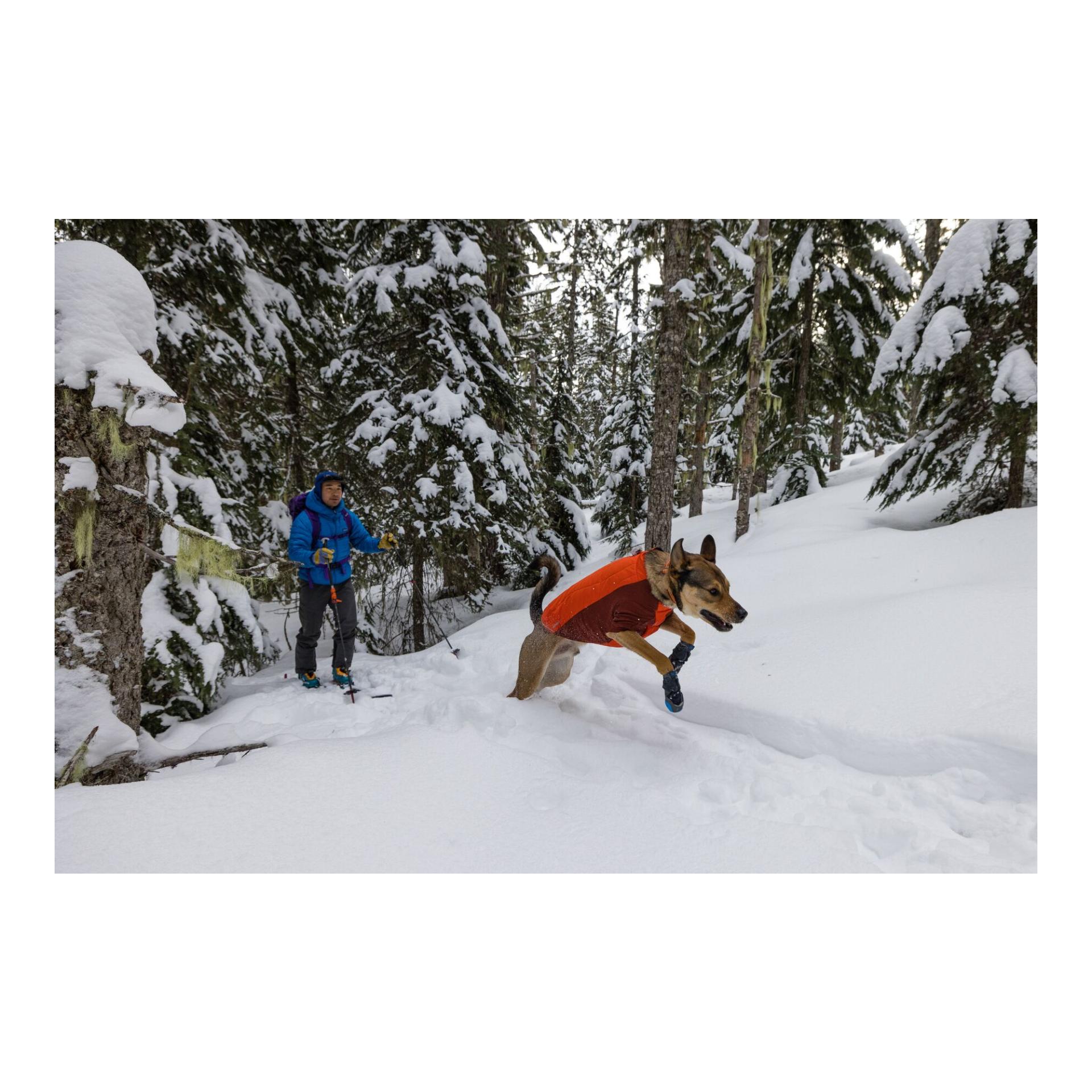 Ruffwear Veste pour chien Powder Hound™ Jacket