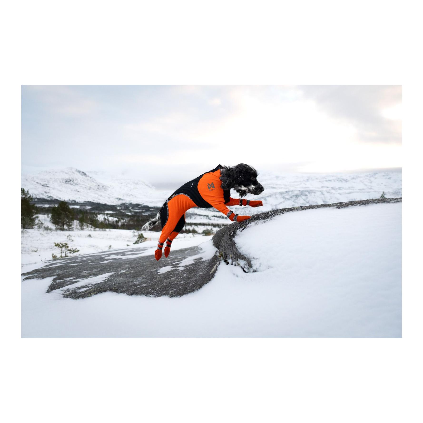 Non-stop Dogwear Chaussures pour chien Contact Bootie High