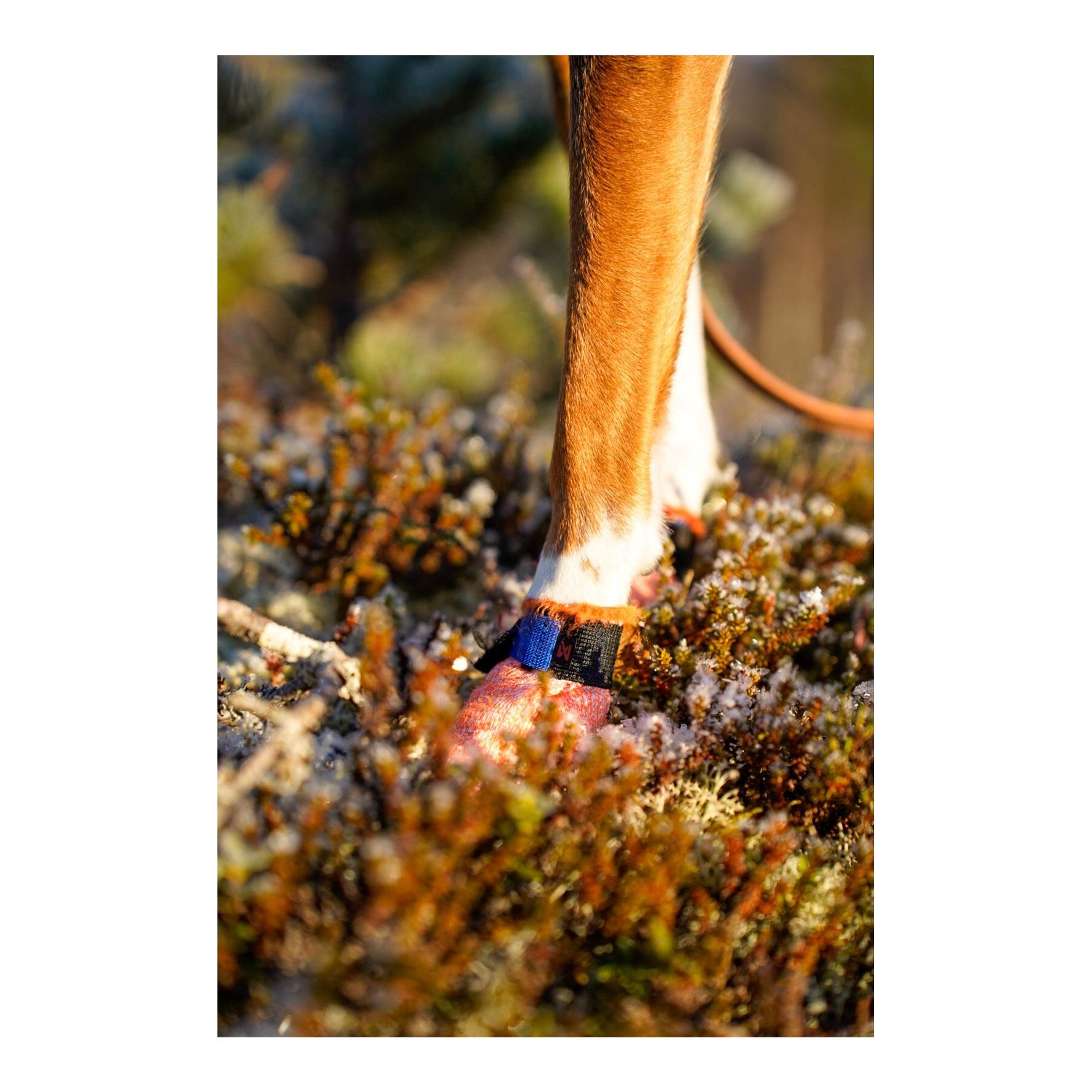 Non-stop Dogwear Protector Light Socks Chaussures pour chiens