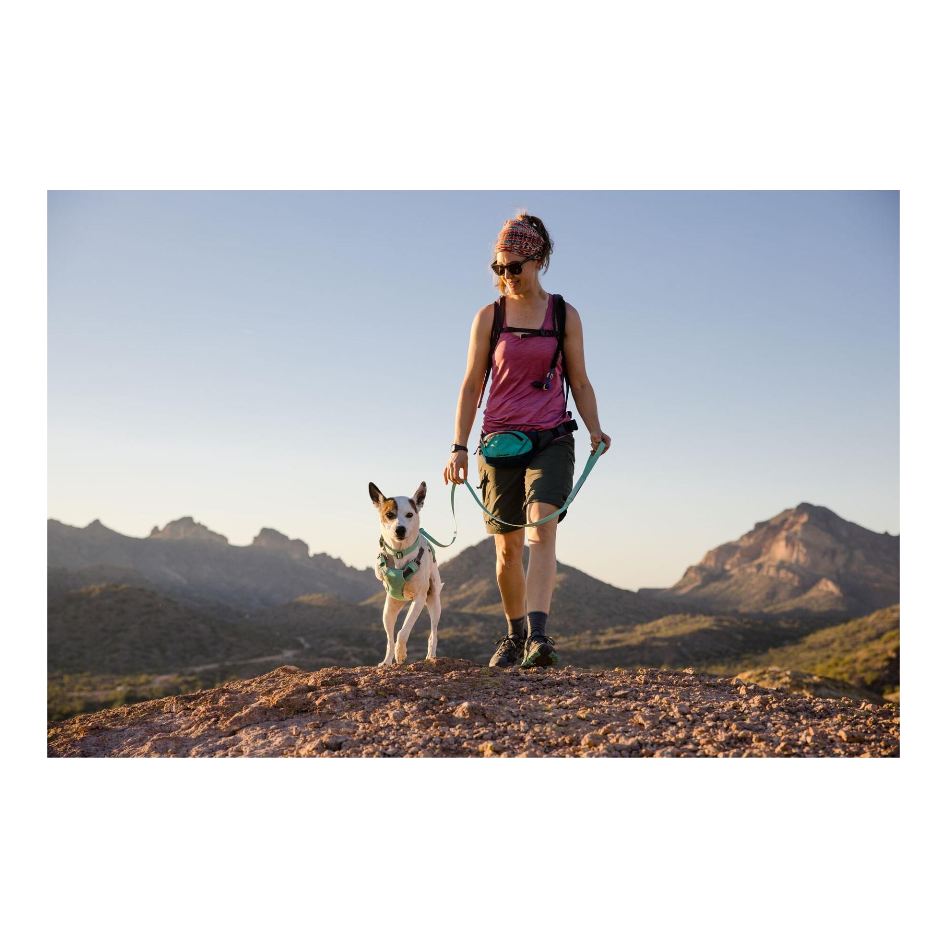 Ruffwear Swamp Cooler™ Geschirr