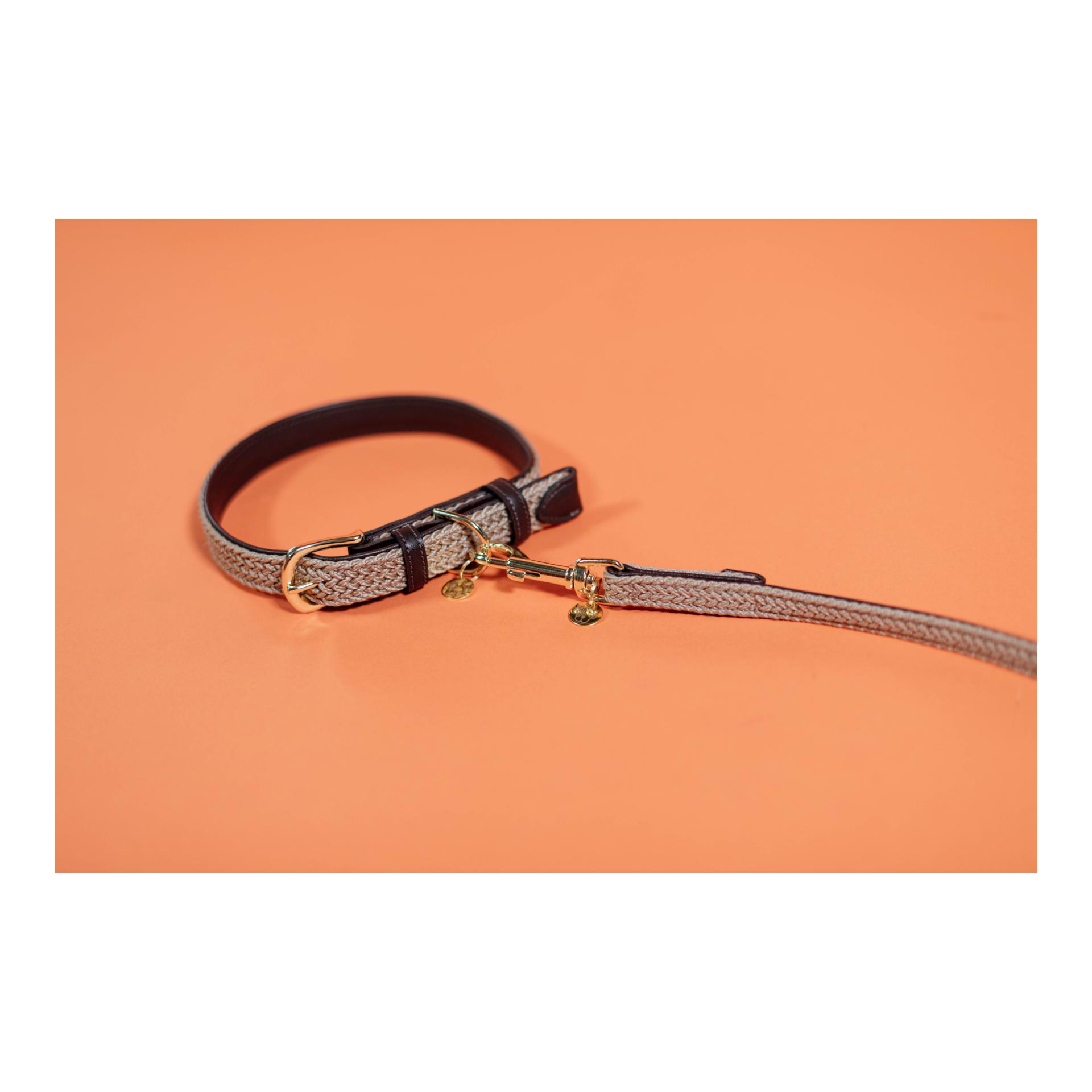 Kentucky Dogwear Hundehalsband Nylon geflochten