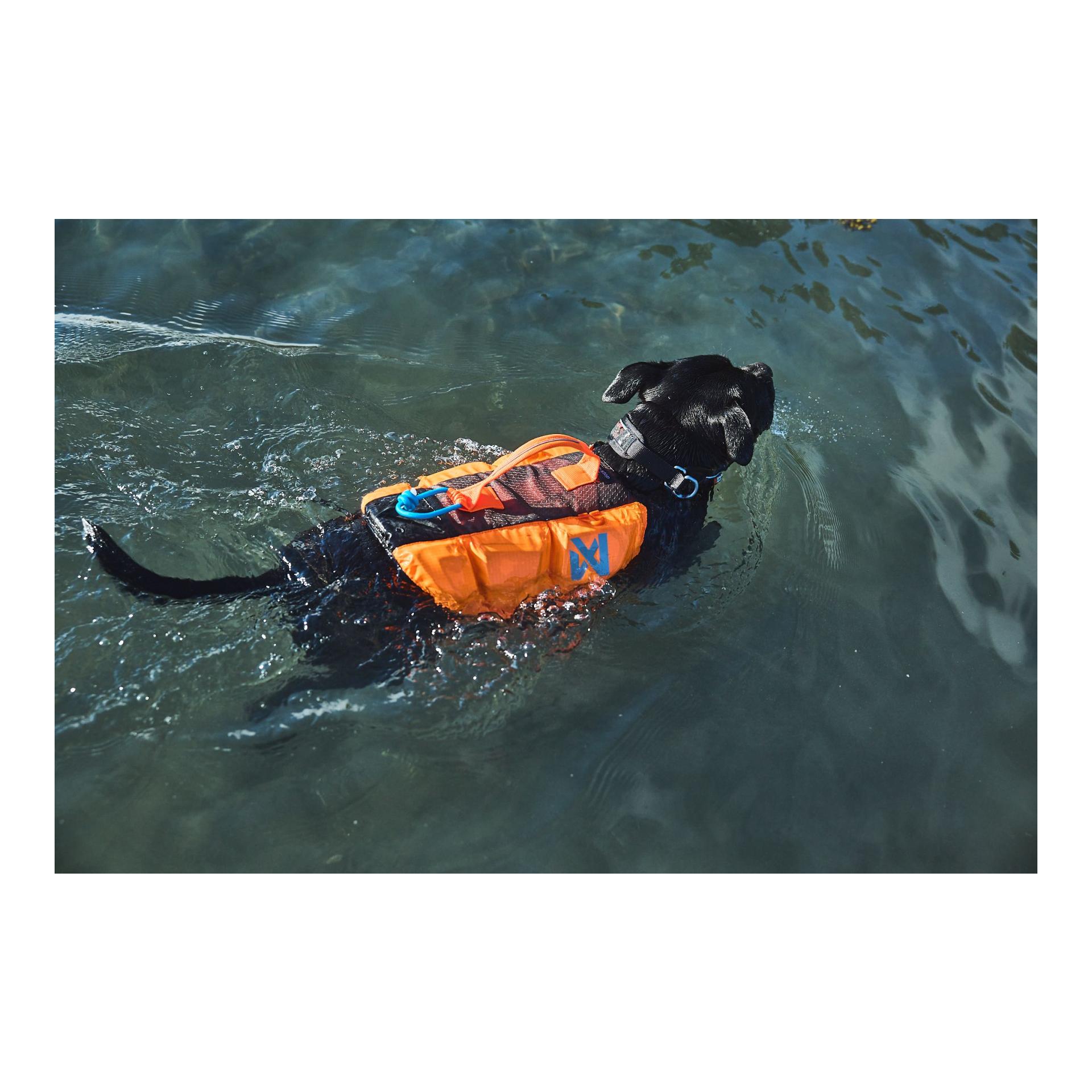 Non-stop Dogwear Protector Life Jacket Hundeschwimmweste