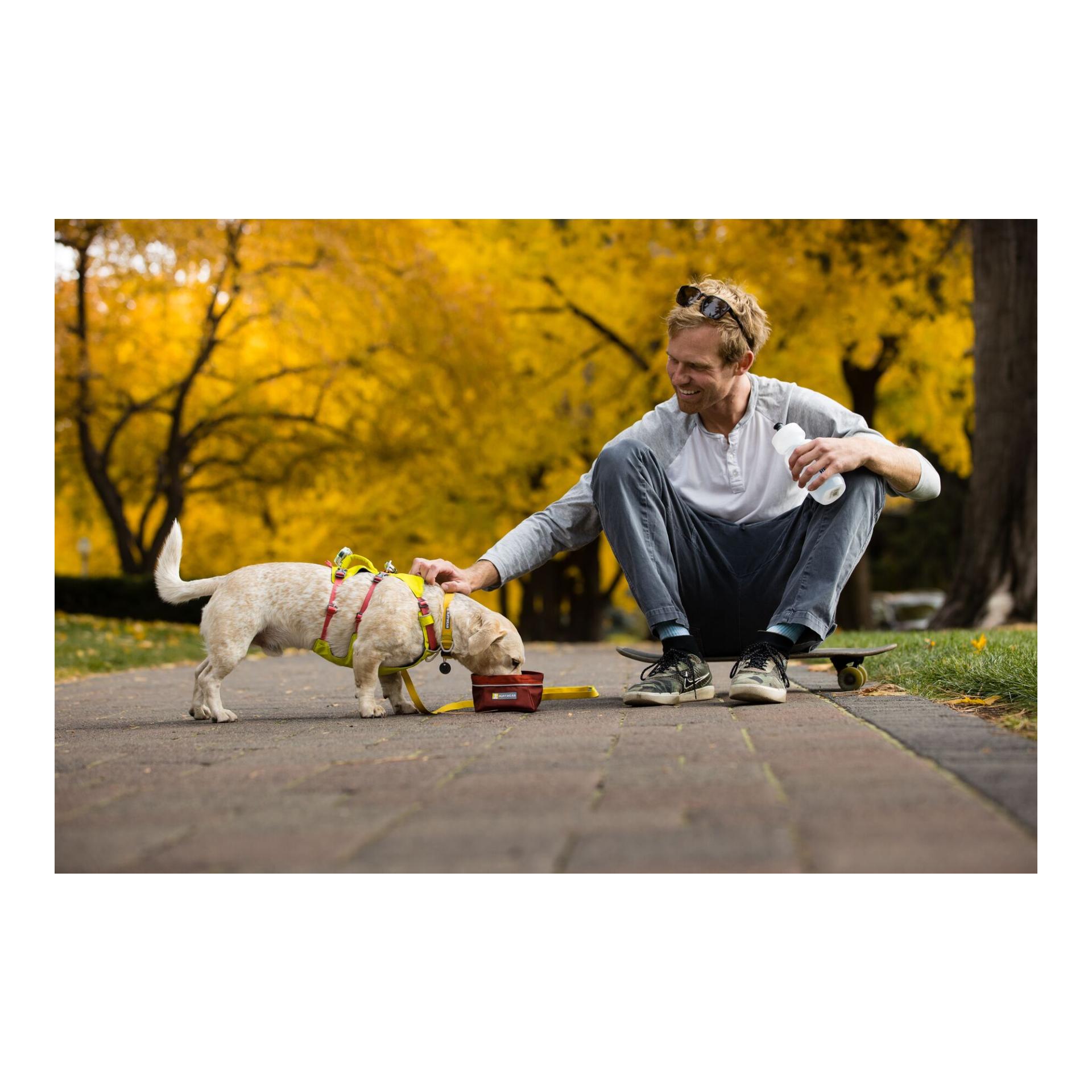 Ruffwear Harnais Flagline™