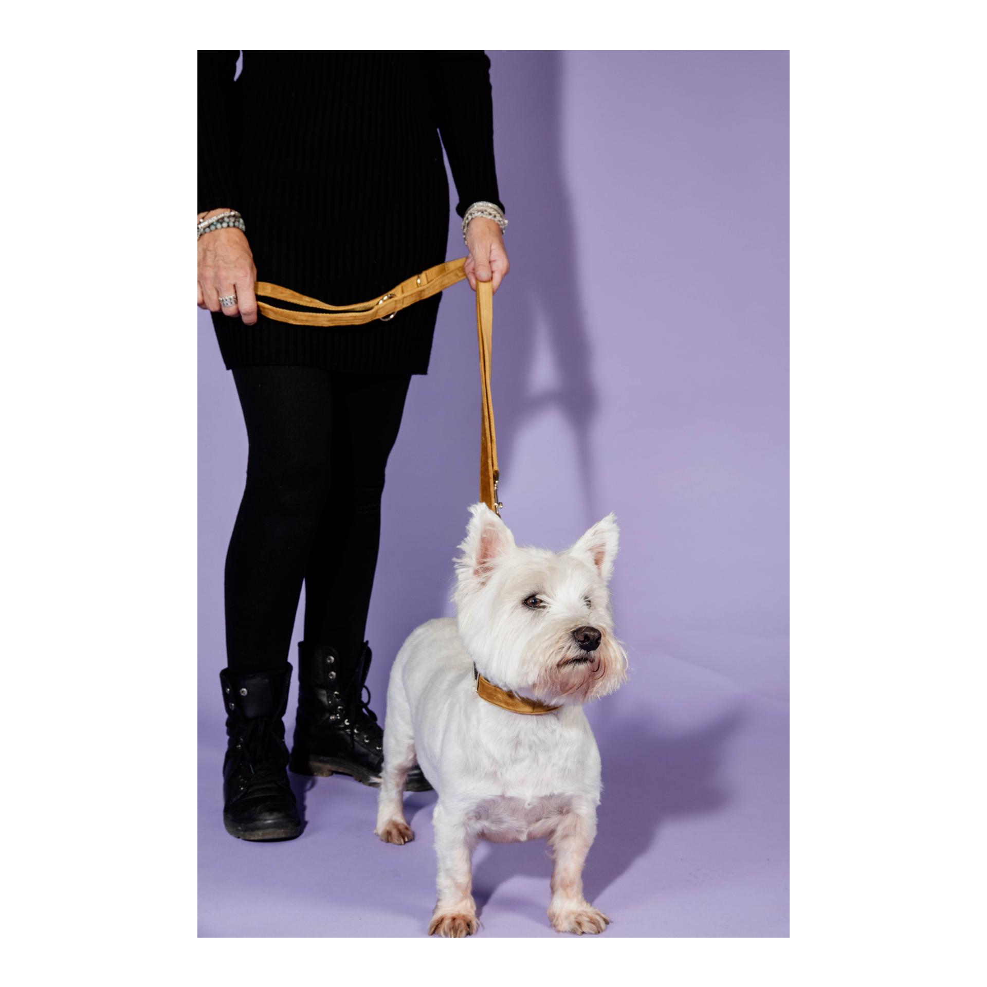 Kentucky Dogwear Hundeleine Velvet - bordeaux