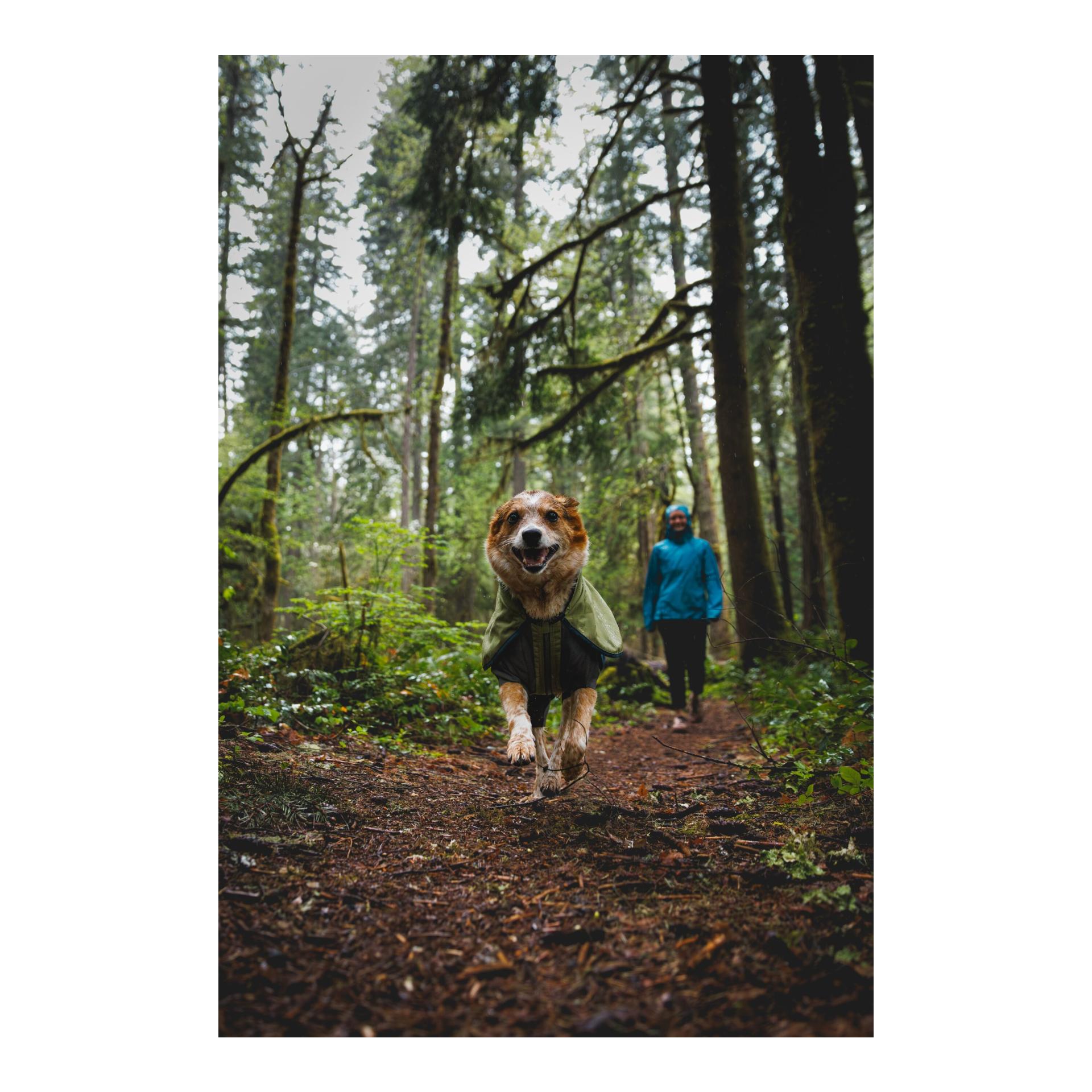 Ruffwear Sun Shower Coverall manteau pour chien