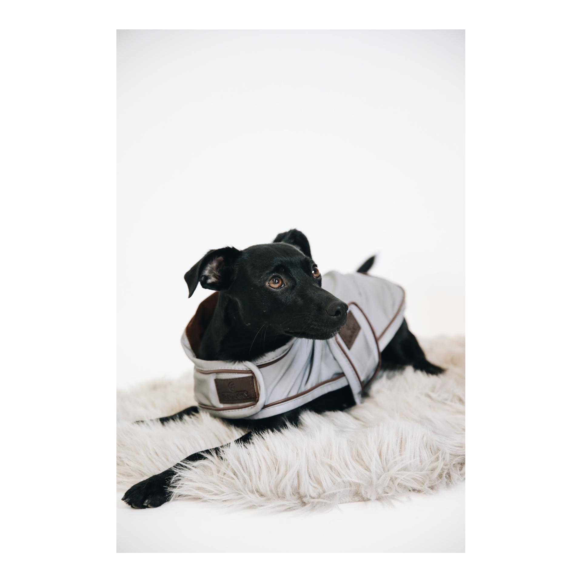 Kentucky Dogwear Hundemantel reflektierend & wasserabweisend