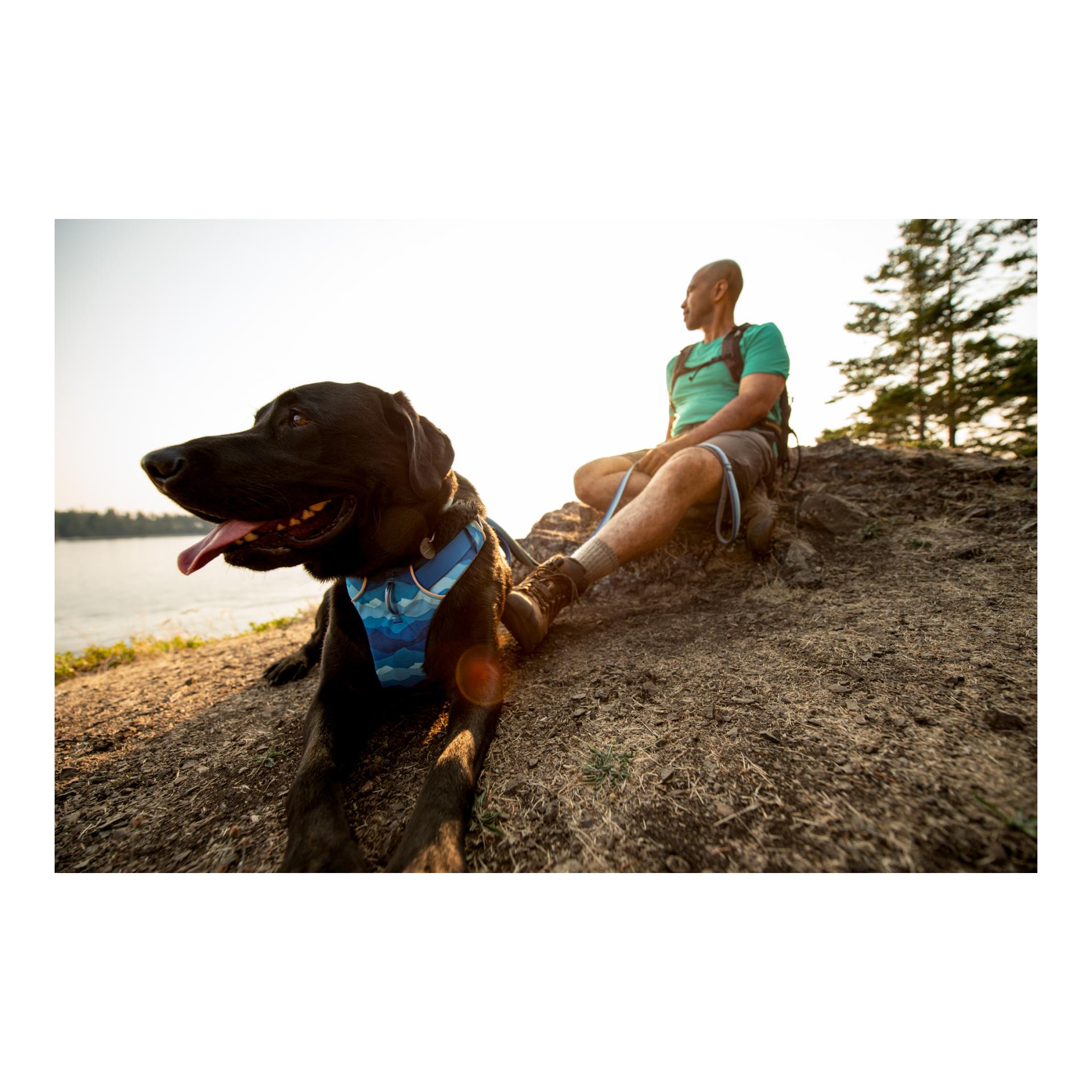 Ruffwear Front Range® harnais pour chien
