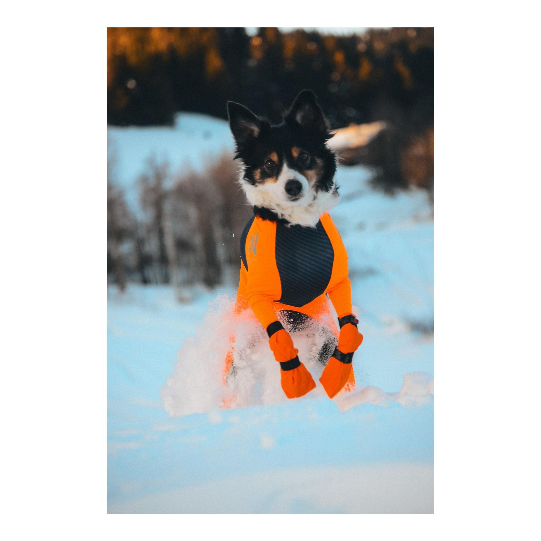 Non-stop Dogwear Chaussures pour chien Contact Bootie High