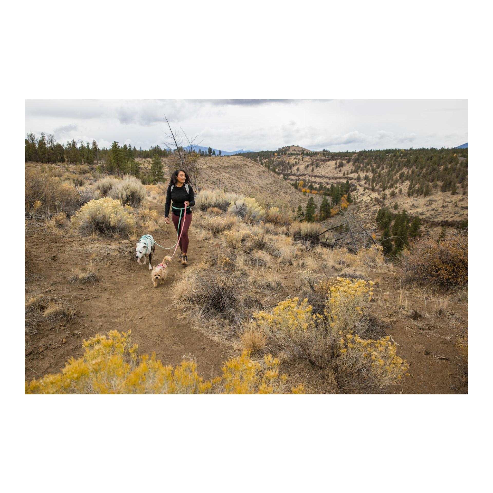 Ruffwear Flagline™ Hundegeschirr