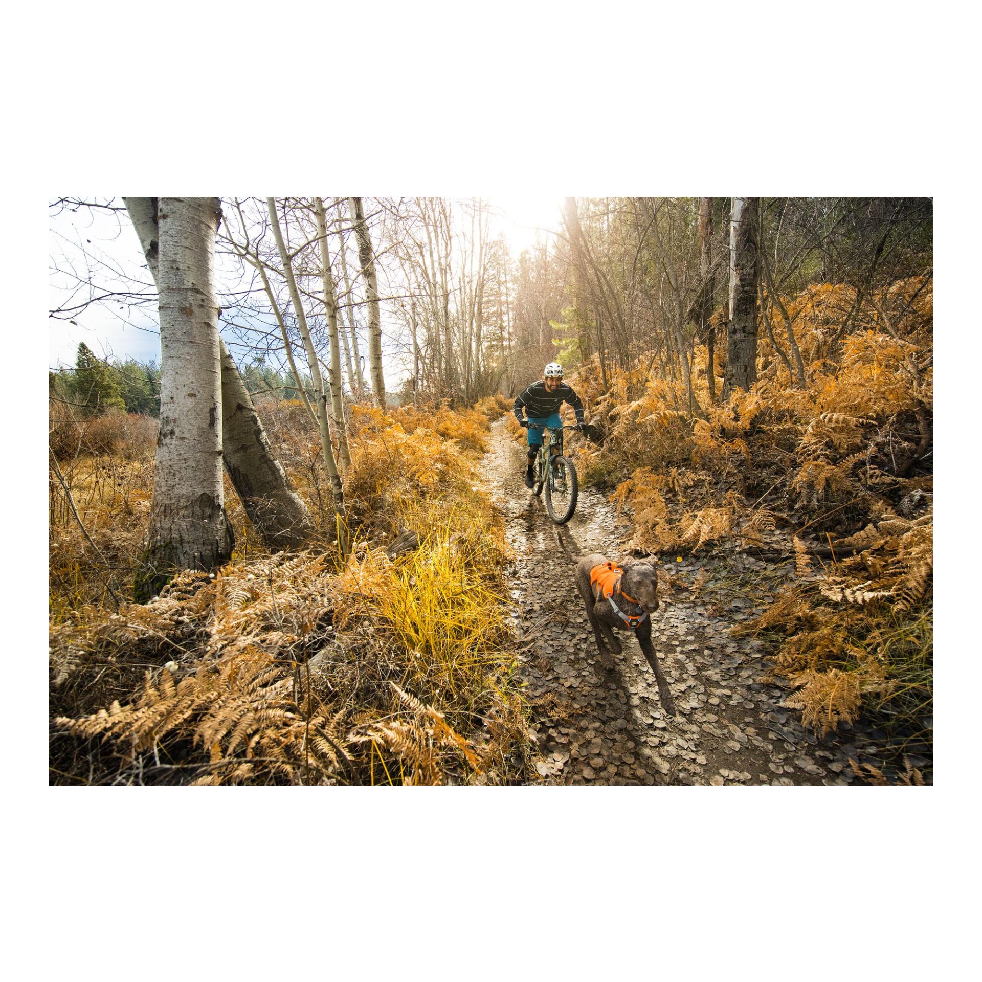 Ruffwear Web Master™ harnais