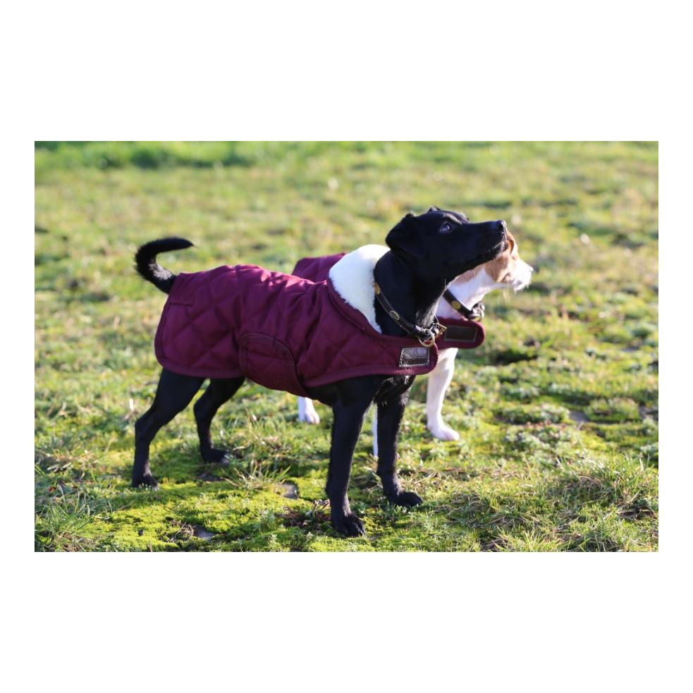 Kentucky Dogwear Hundemantel Original - bordeaux