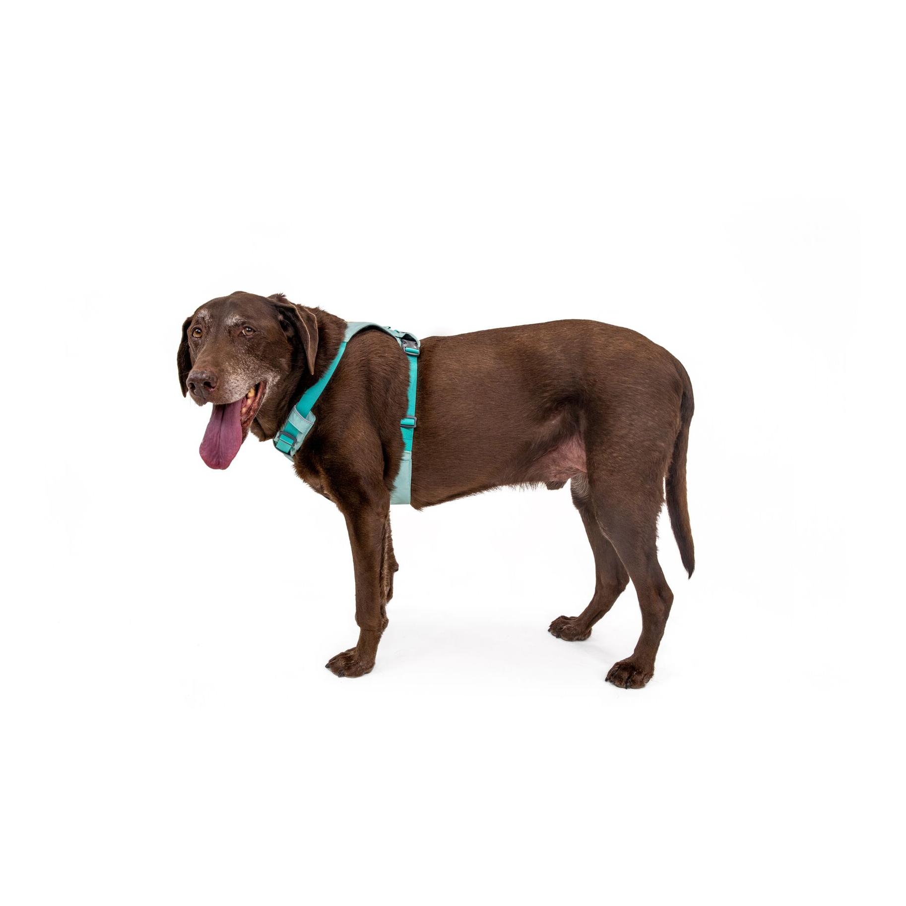 Ruffwear Hi & Light™ Geschirr