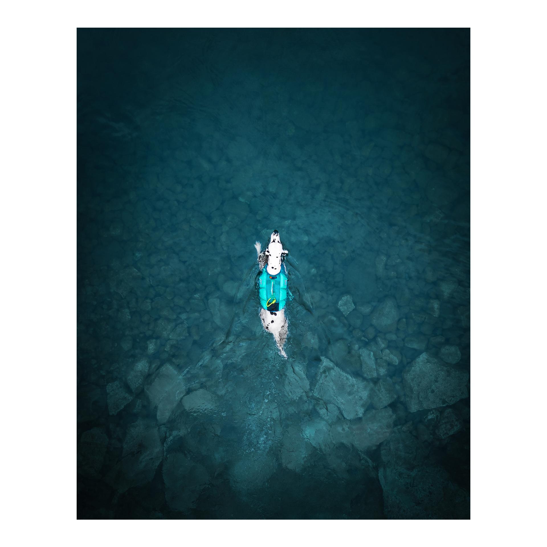 Non-stop Dogwear Protector Life Jacket Hundeschwimmweste