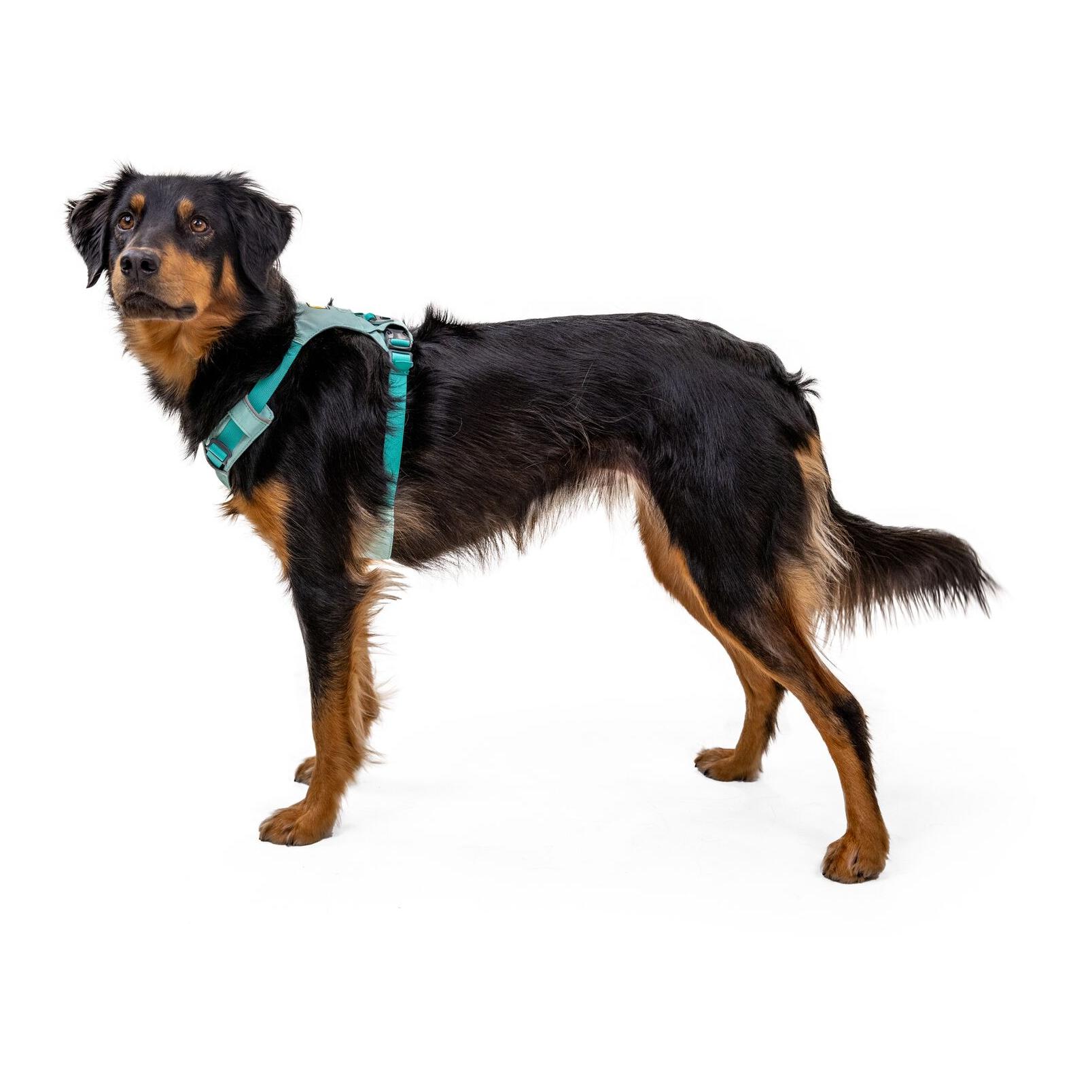 Ruffwear Hi & Light™ Geschirr
