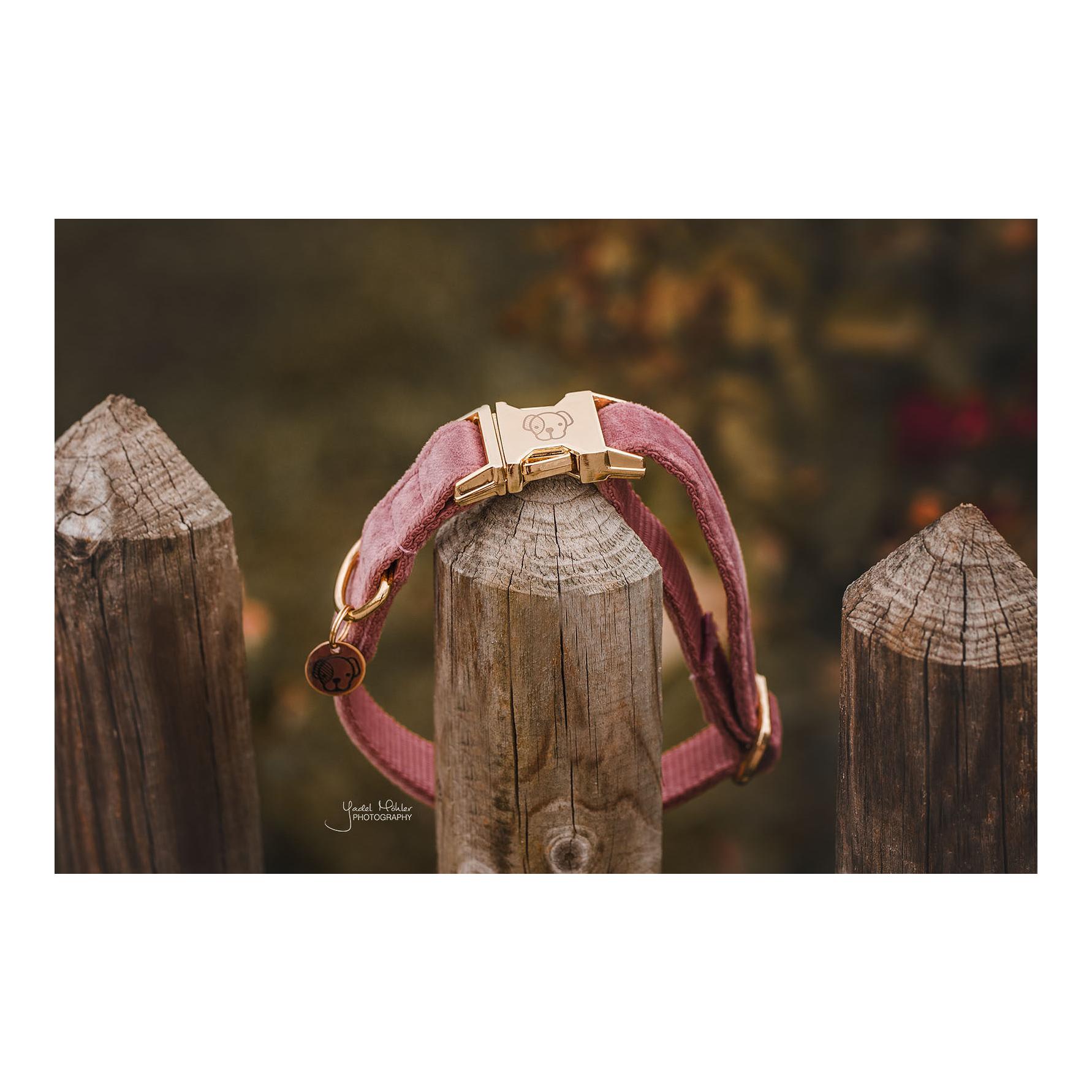 Kentucky Dogwear Hundehalsband velvet - old rose