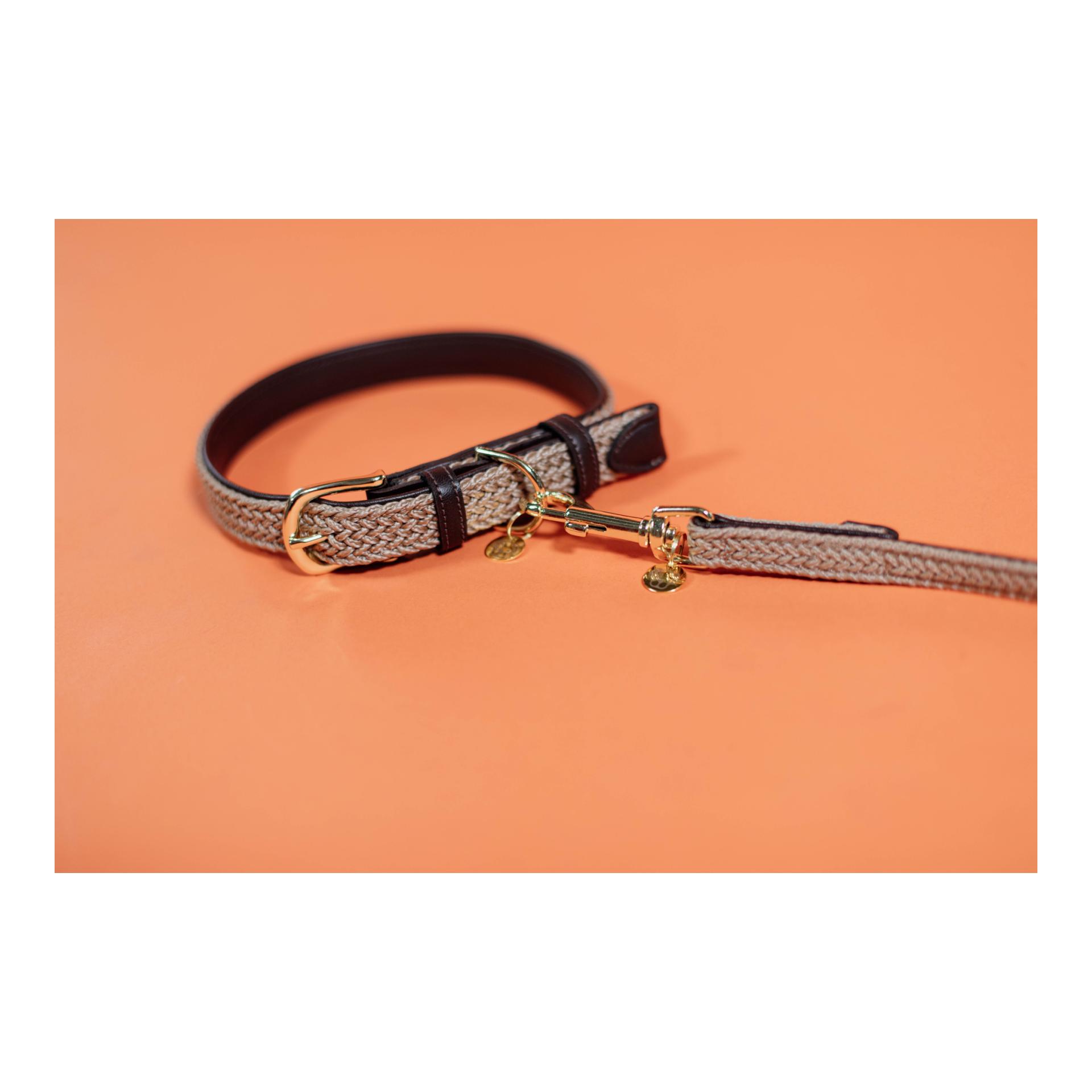 Kentucky Dogwear Hundehalsband Nylon geflochten