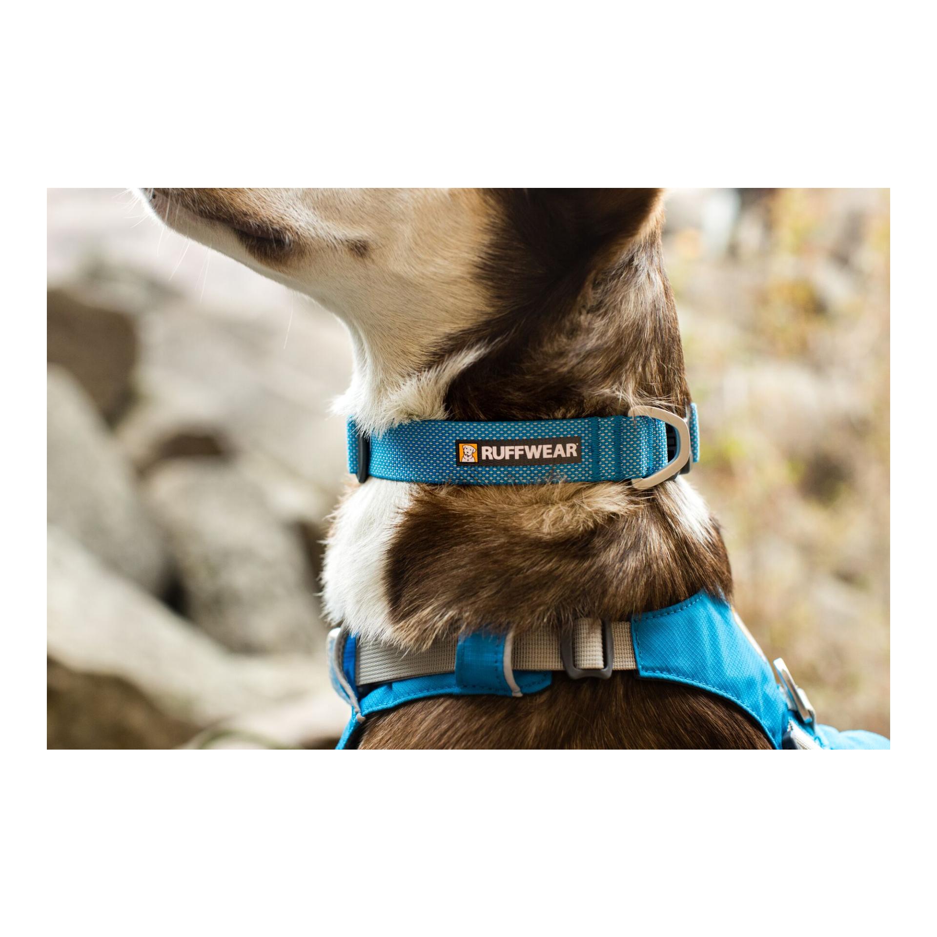 Ruffwear Hi & Light™ Halsband