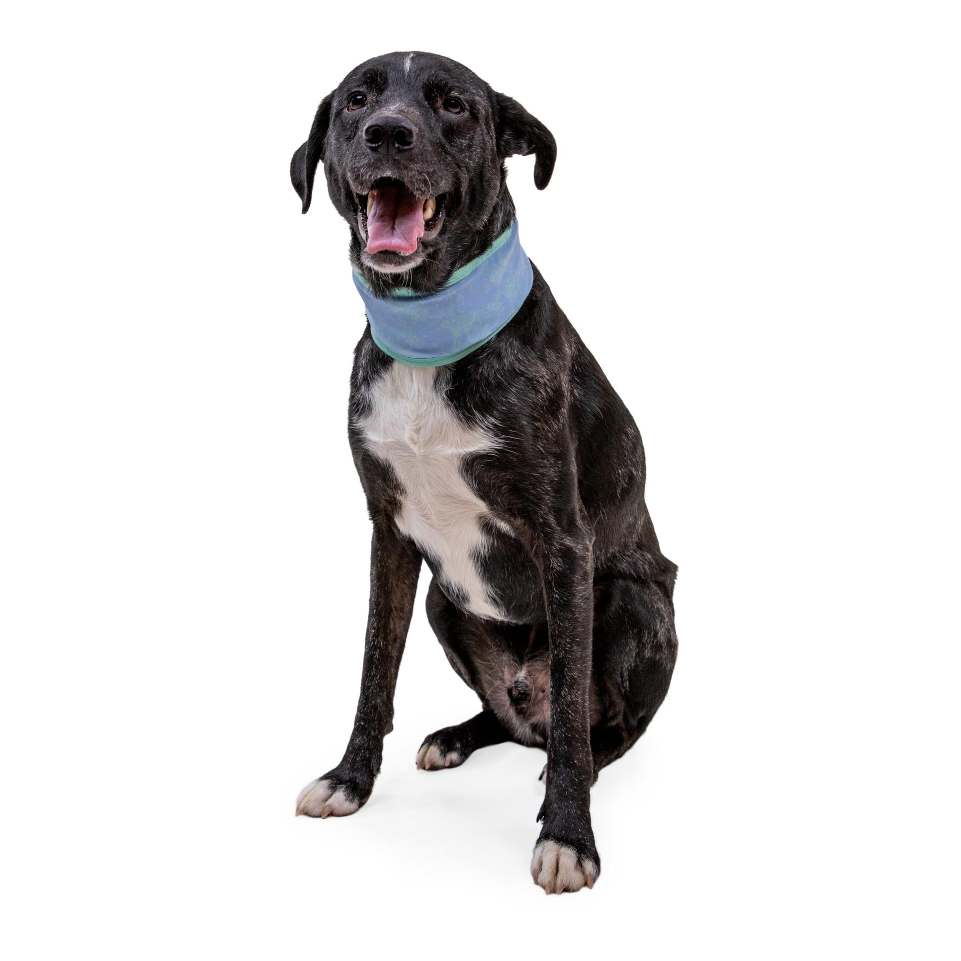 Ruffwear Foulard Swamp Cooler Zip™