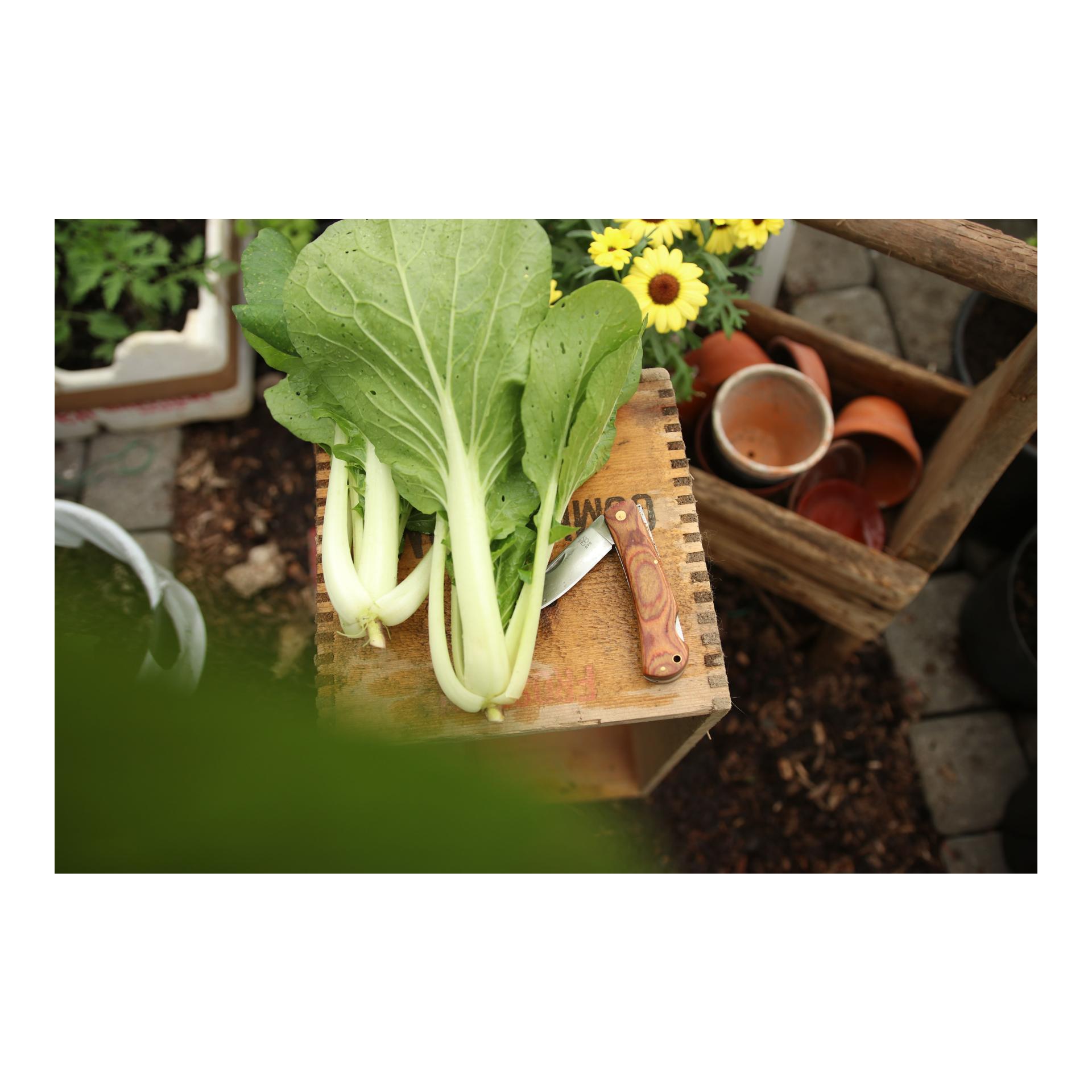 Øyo MARKA - Jagd/Outdoorklappmessesr mit Lederhülle