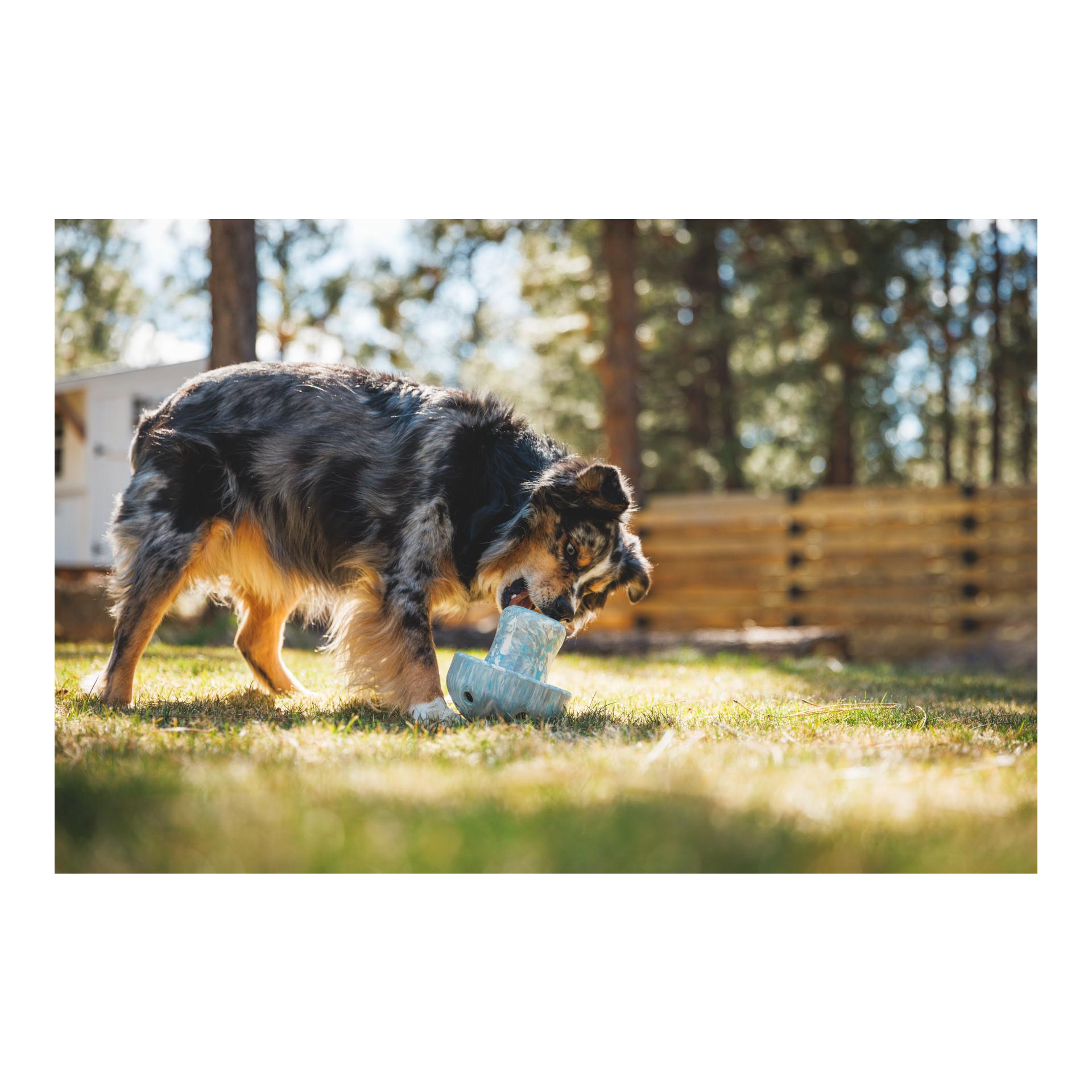 Ruffwear Jouet pour chien Porchini