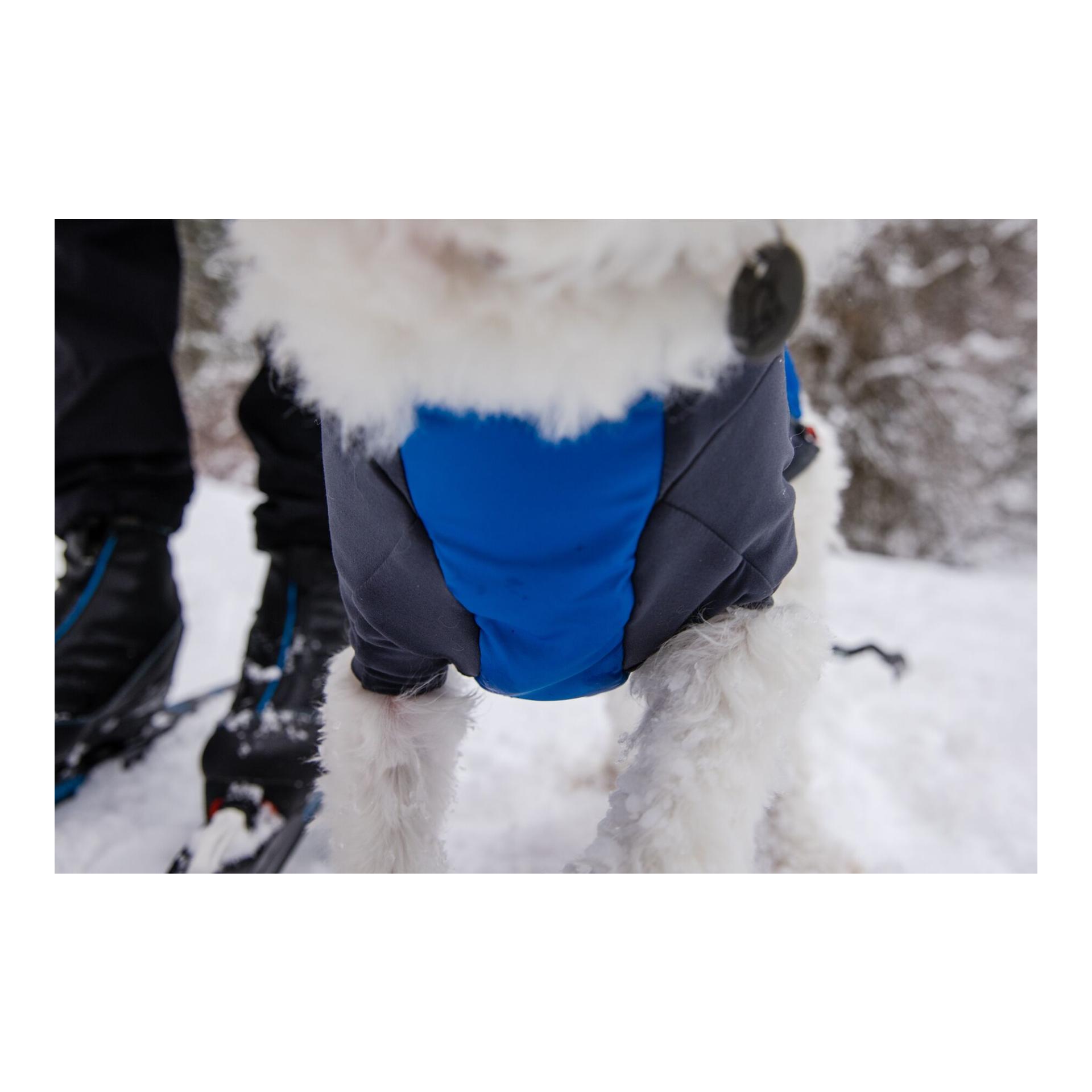 Ruffwear Veste pour chien Powder Hound™ Jacket