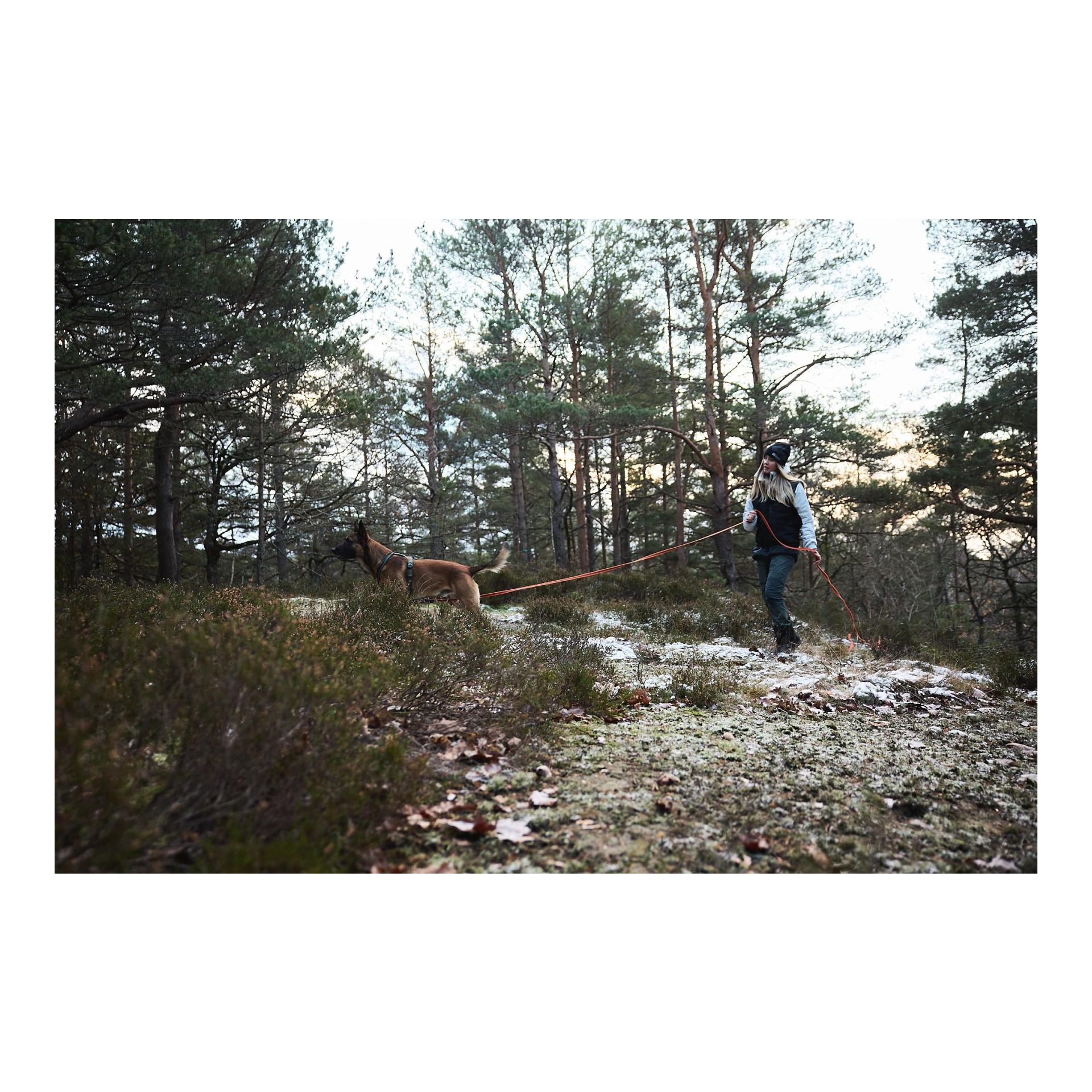 Non-stop Dogwear Friction Long Line Schleppleine