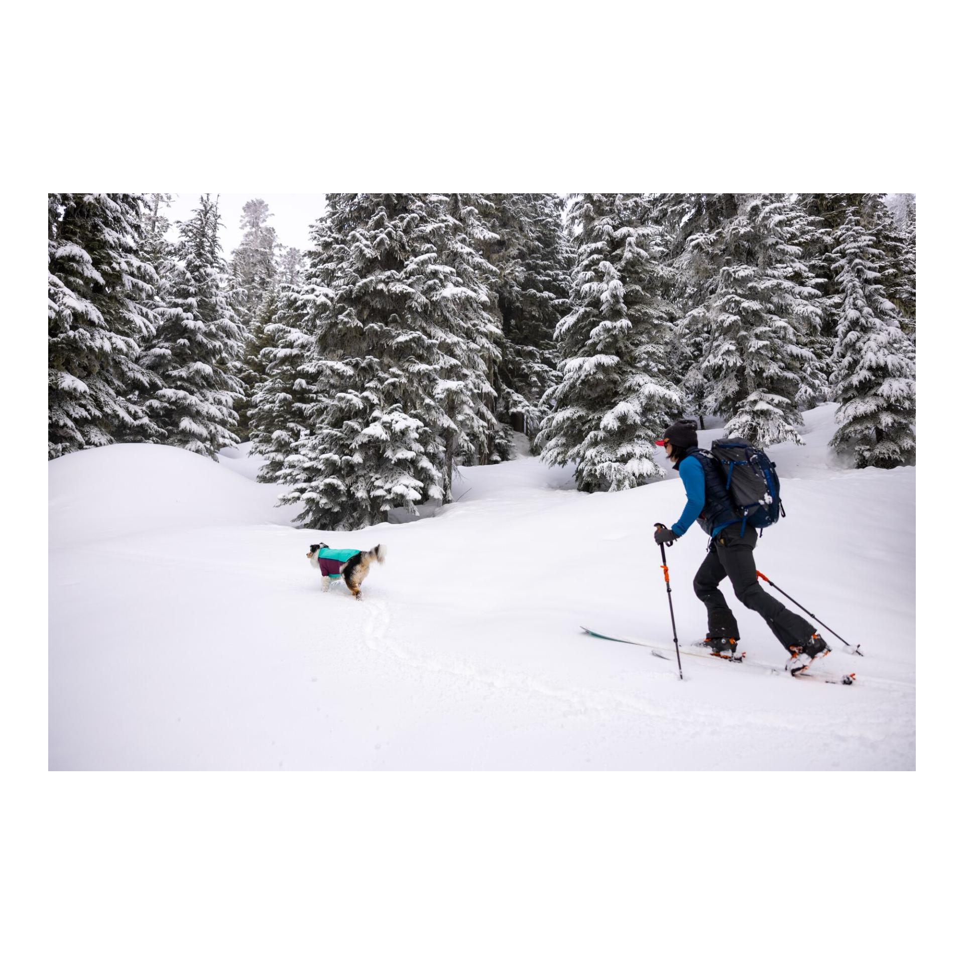 Ruffwear Veste pour chien Powder Hound™ Jacket