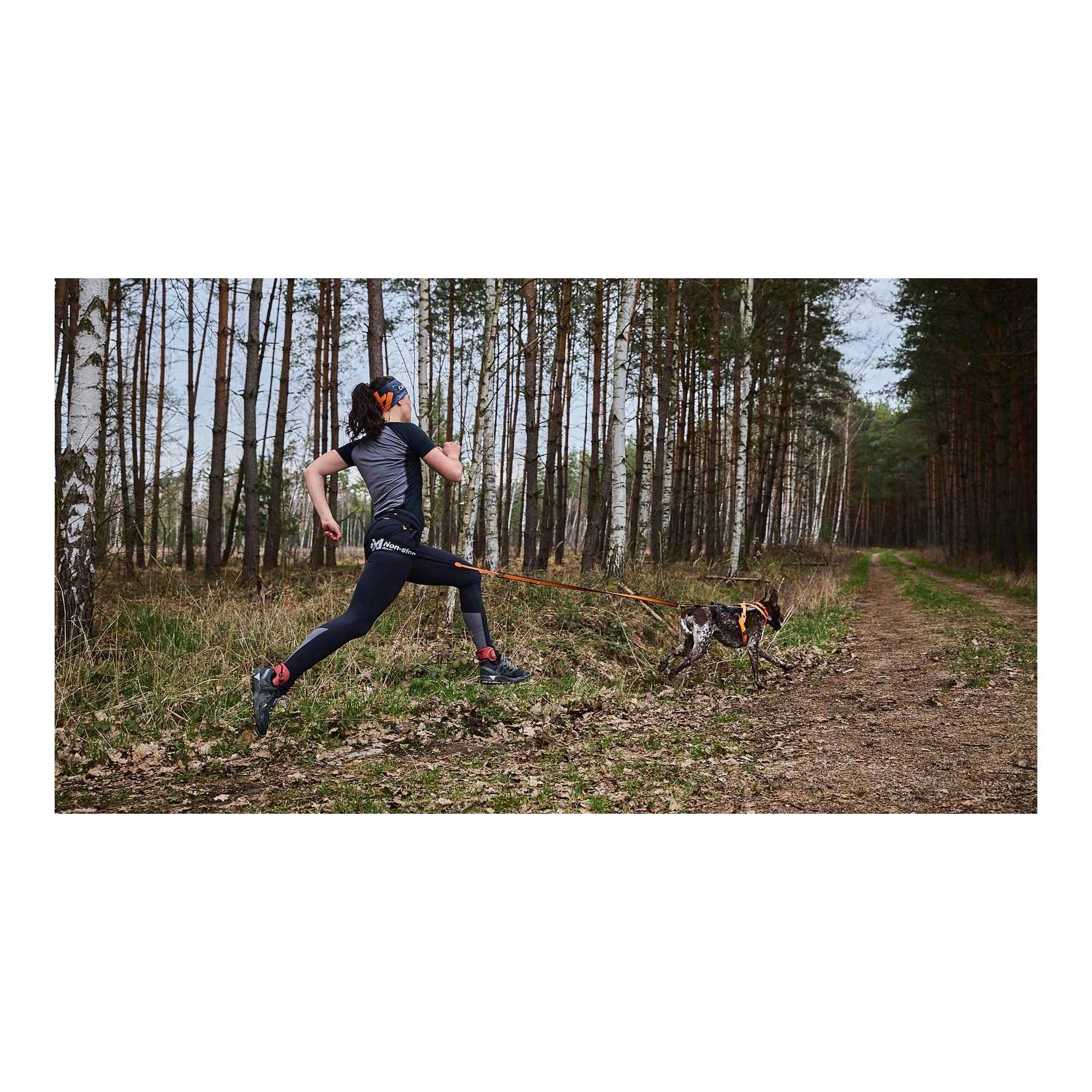 Non-stop Dogwear CaniX Belt pro