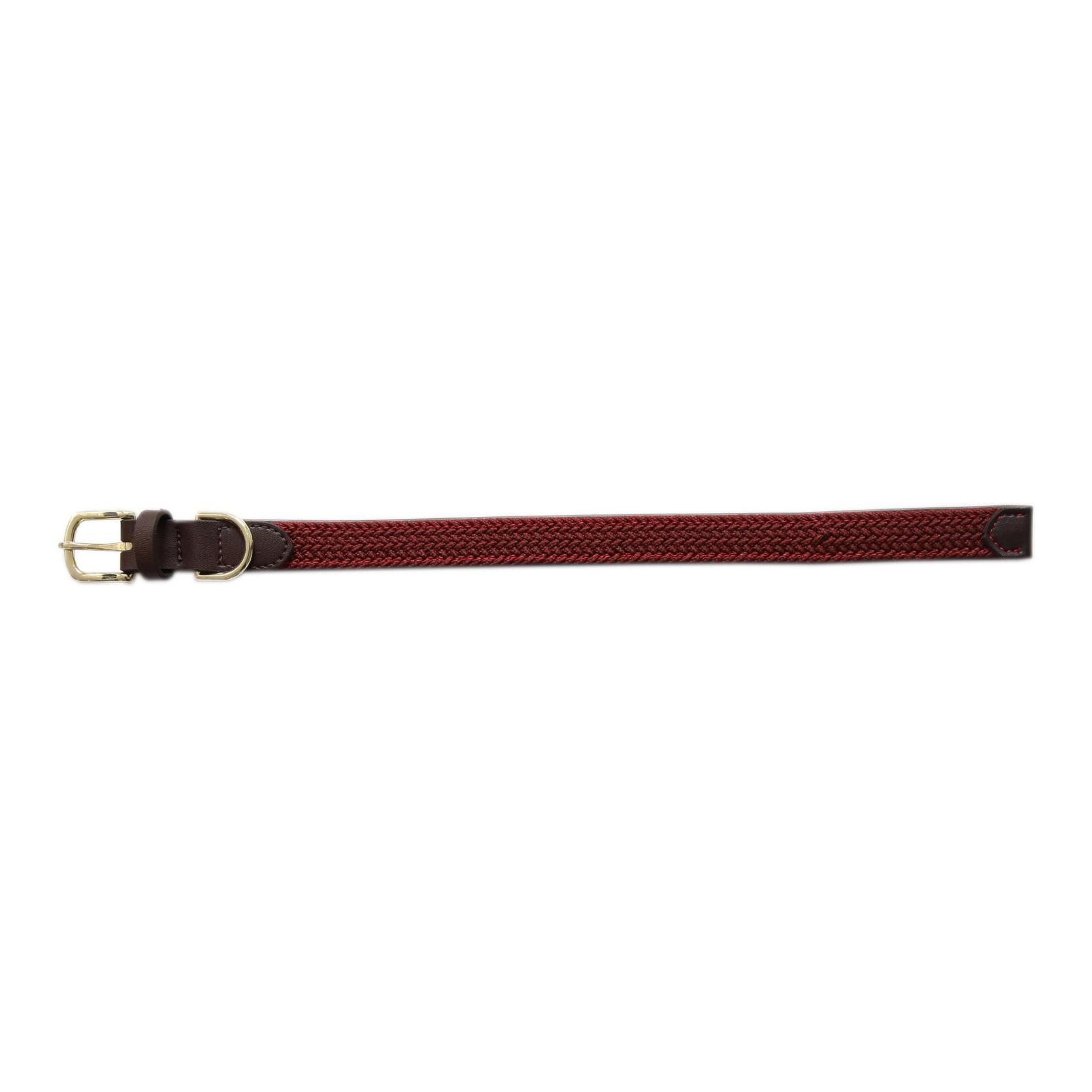 Collier de chien en nylon tressé - bordeaux