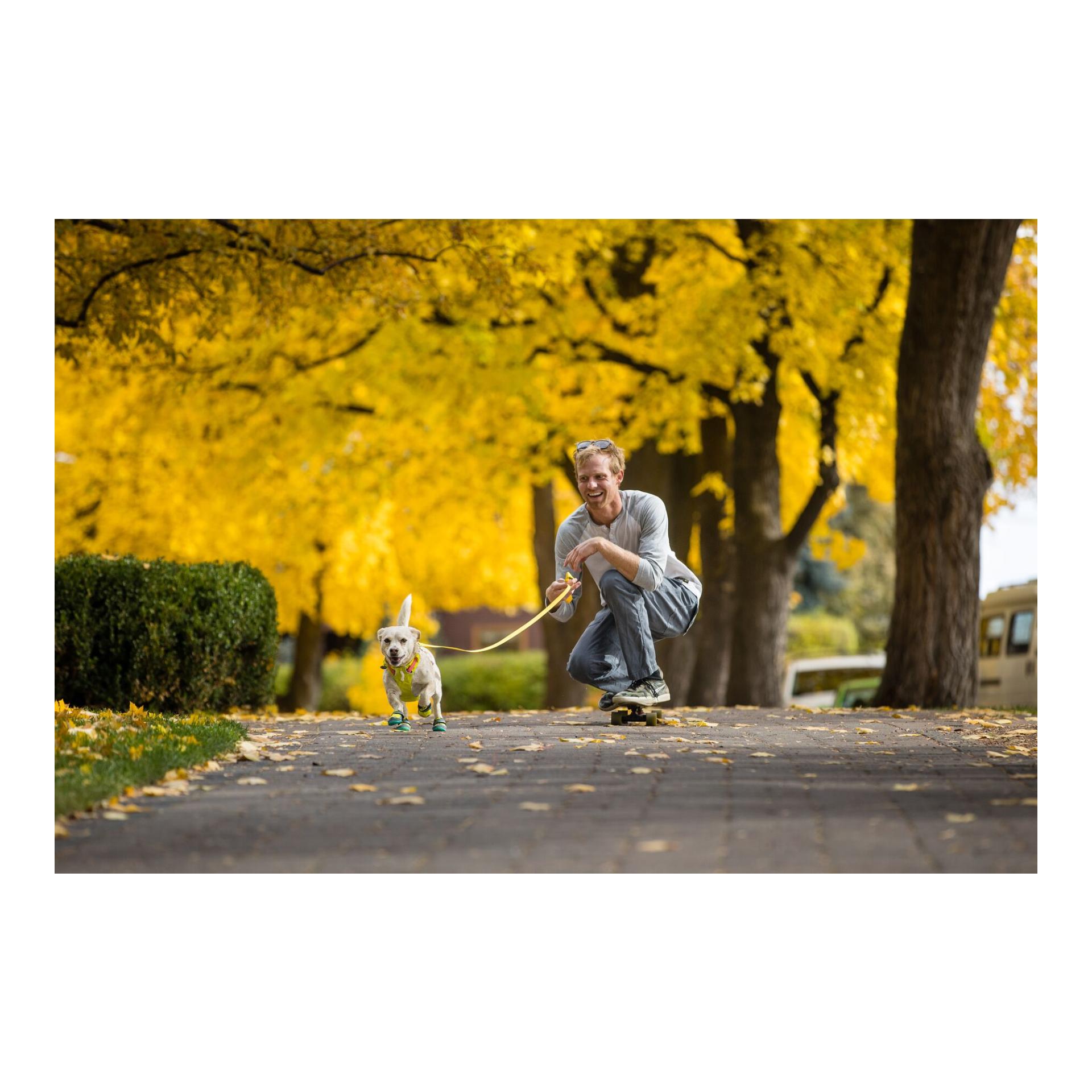 Ruffwear Harnais Flagline™