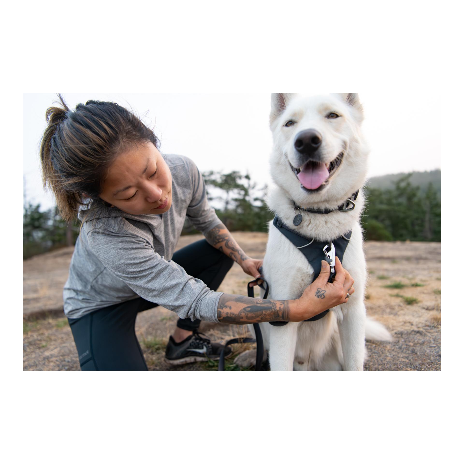 Ruffwear Front Range® harnais pour chien