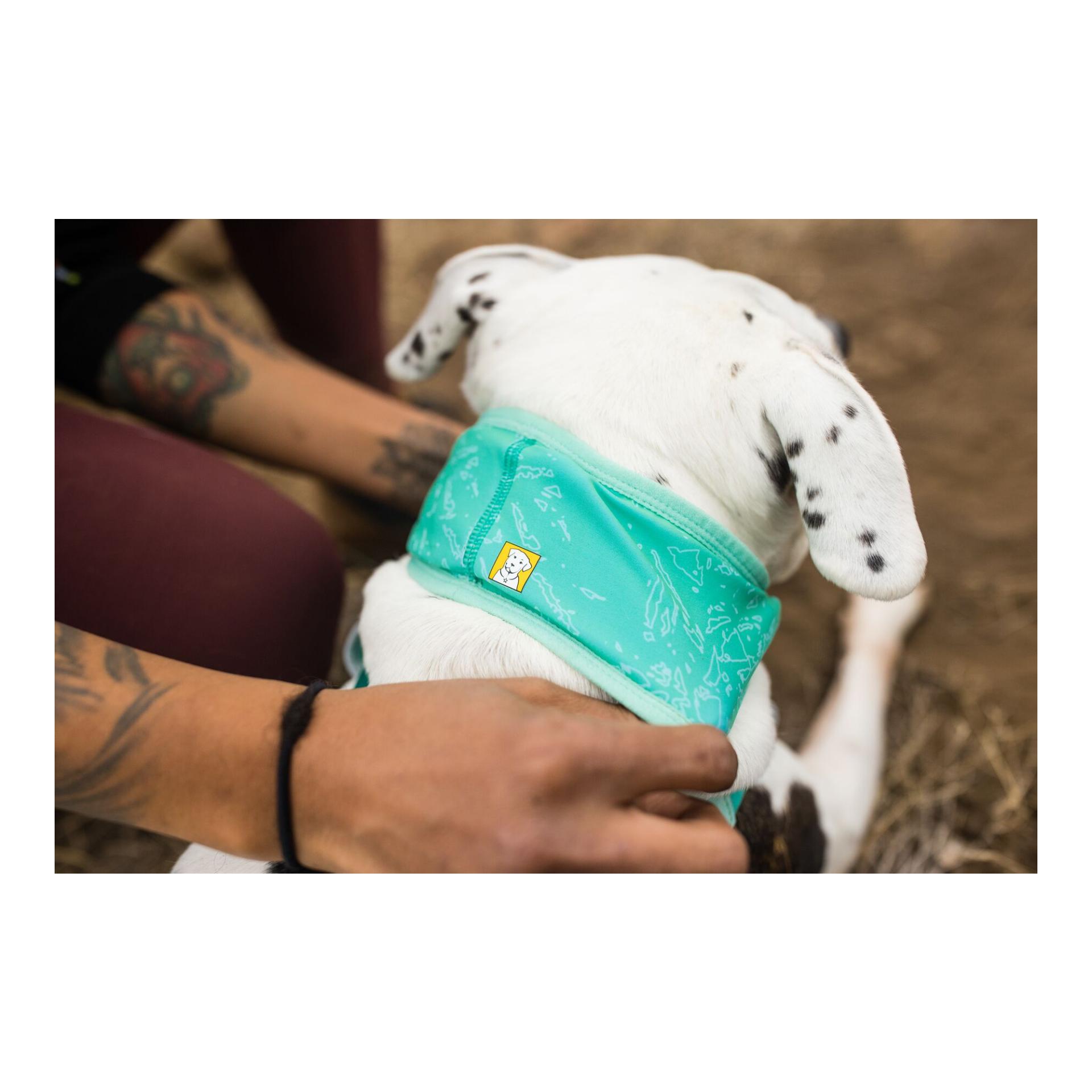 Ruffwear Foulard Swamp Cooler Zip™