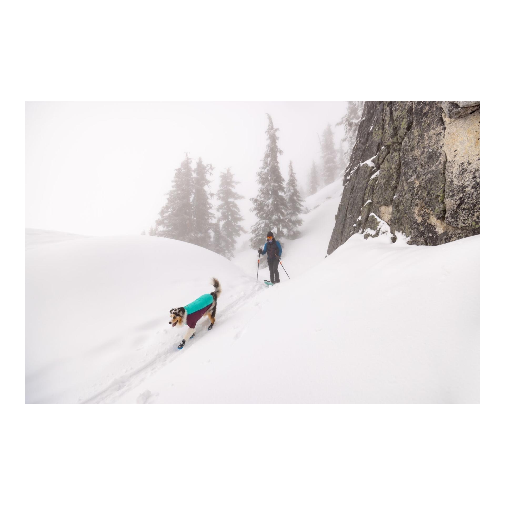 Ruffwear Veste pour chien Powder Hound™ Jacket