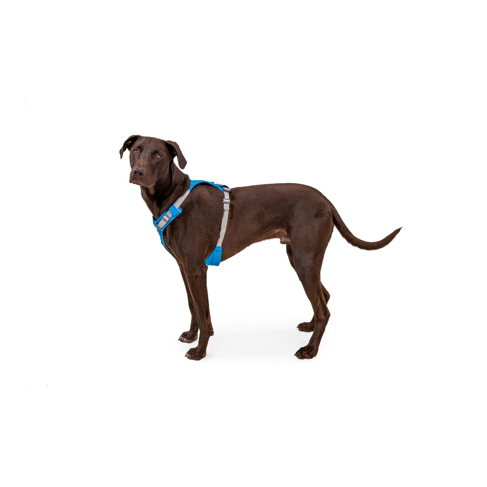 Ruffwear Hi & Light™ Geschirr