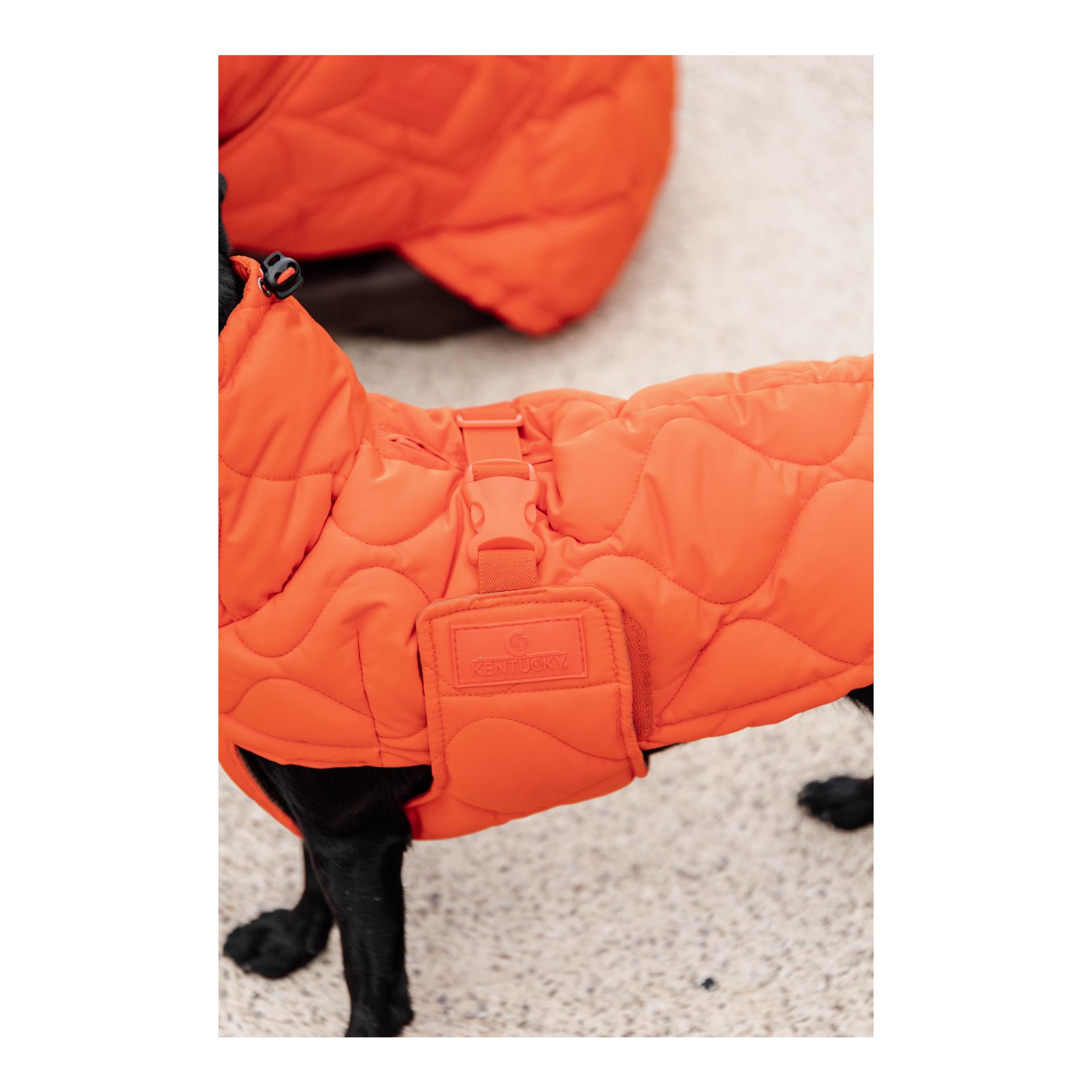 Kentucky Dogwear Hundemantel Pina - 160g